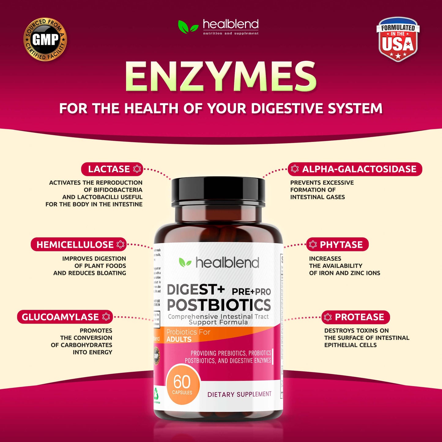 Healblend Digest + Postbiotics Supplement for Women and Men, Multi Enzymes, Organic Prebiotic & Probiotic for Digestive Health with Bromeline, Papin and Lipase, 60 Vegetarian Capsules