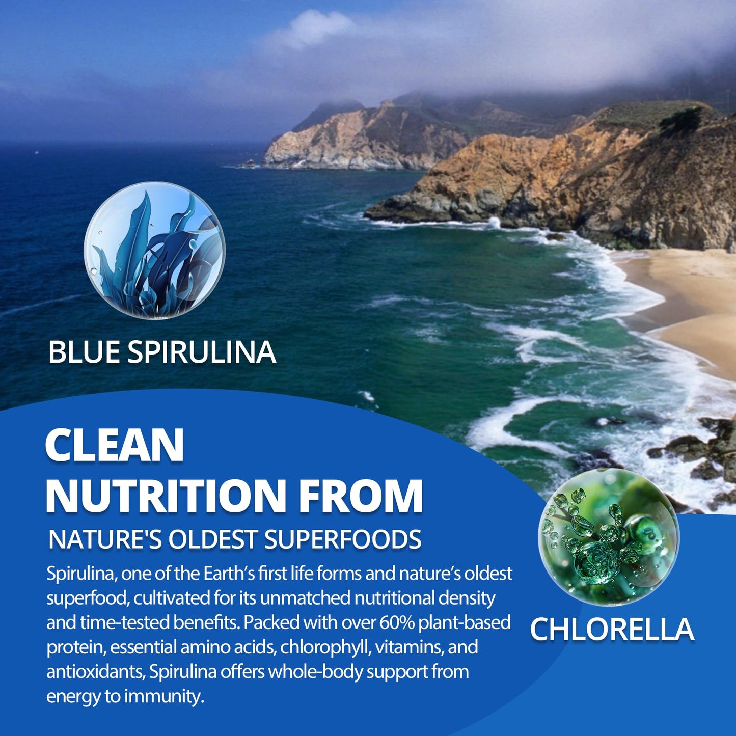 Nextdia 150mg Liposomal Sulforaphane Gummies + Organic Blue Spirulina Gummies, 120 Gummies