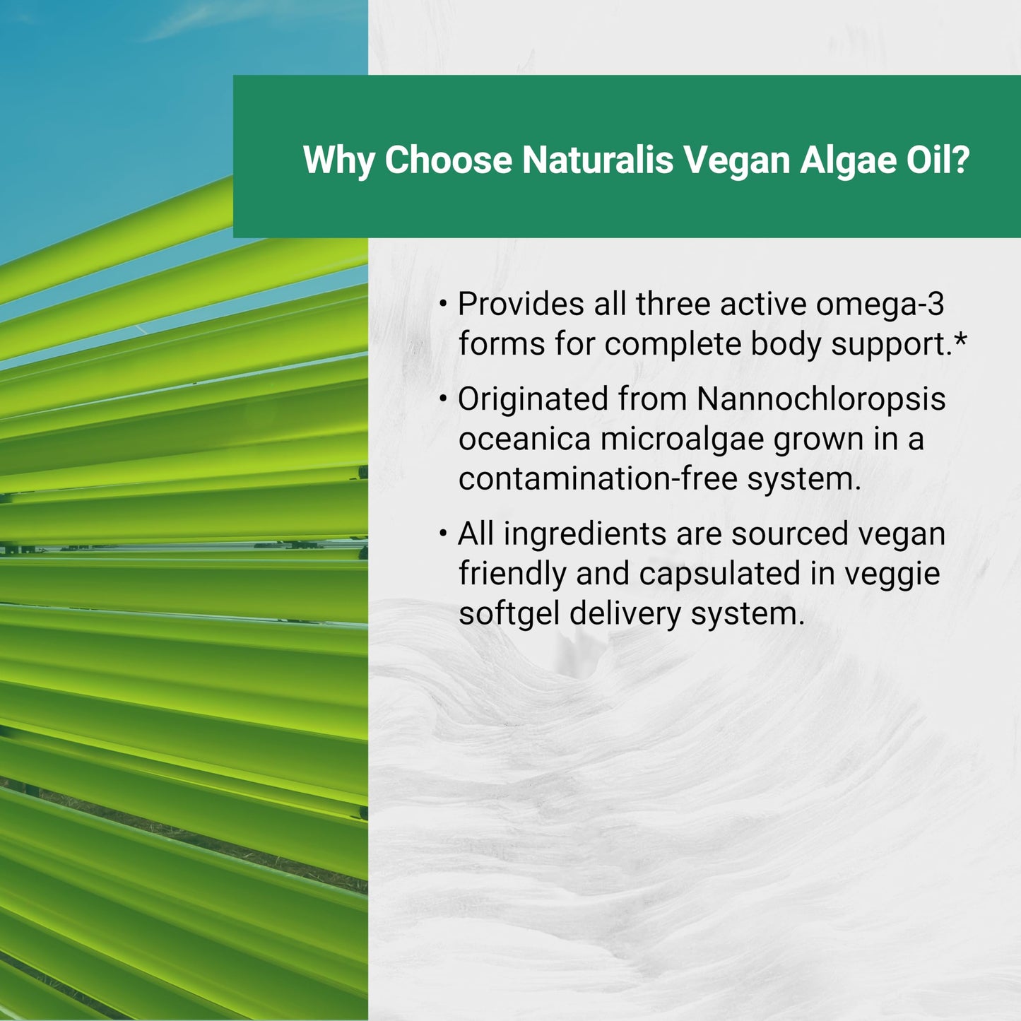 Naturalis Vegan Omega 3 1040mg 180 Softgels