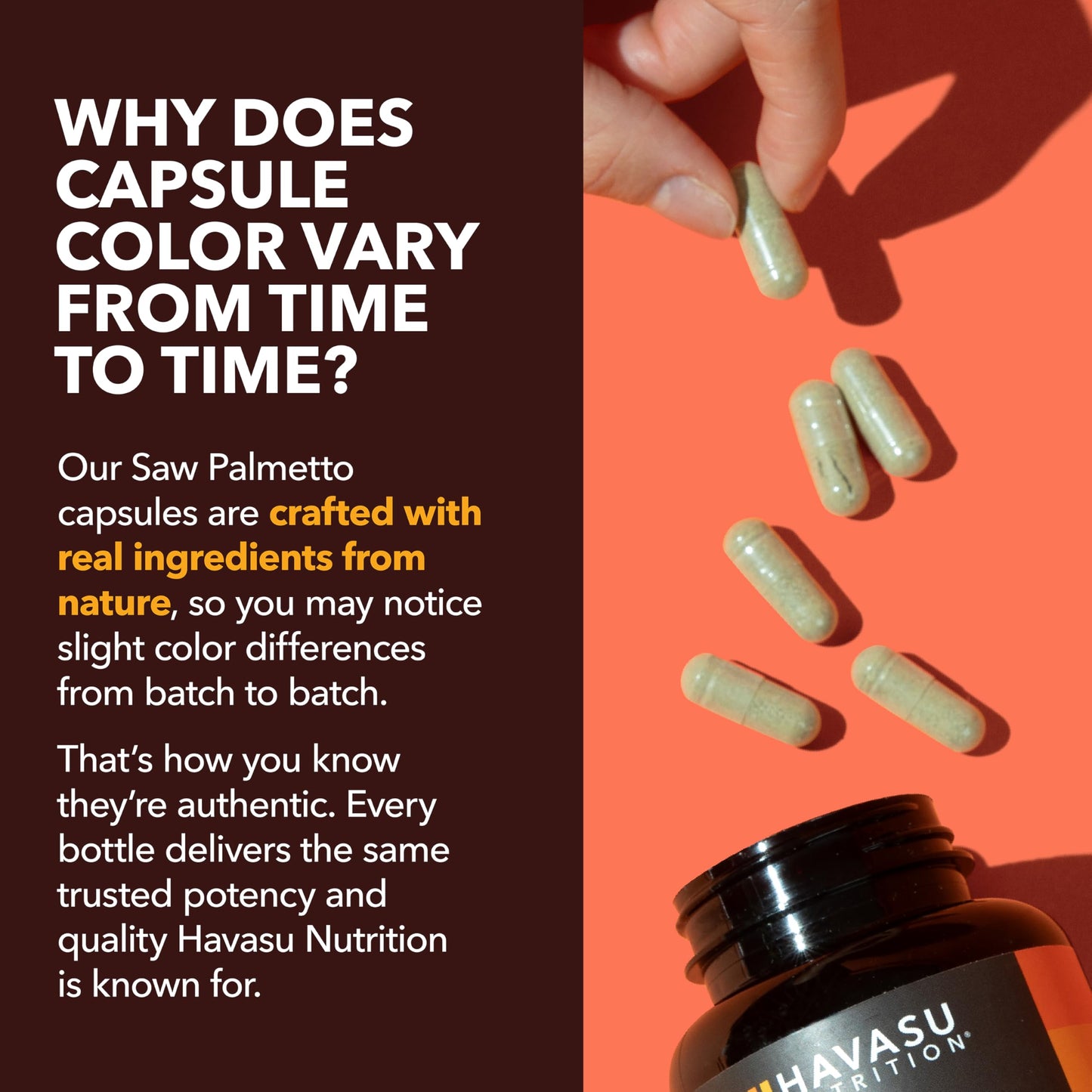 HAVASU NUTRITION Saw Palmetto for Men Capsule 120 Count