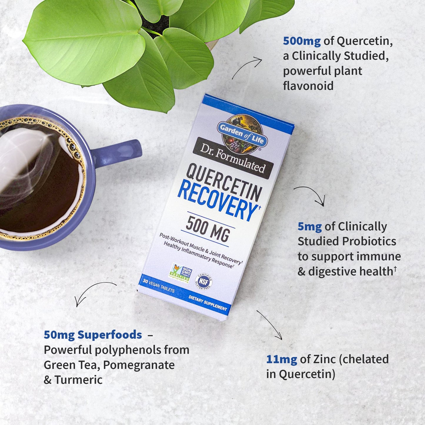 Garden of Life Dr. Formulated Quercetin Recovery Tablet 30 Count