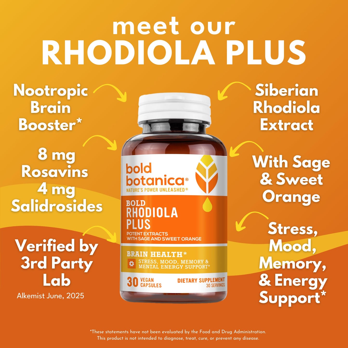 Bold Botanica Rhodiola Plus — Siberian Rhodiola Rosea Extract Supplement 8mg Rosavins, 4mg Salidroside — Premium Adaptogen Supplement for Stress, Memory, Focus, & Energy Support — Capsules, 30 Count