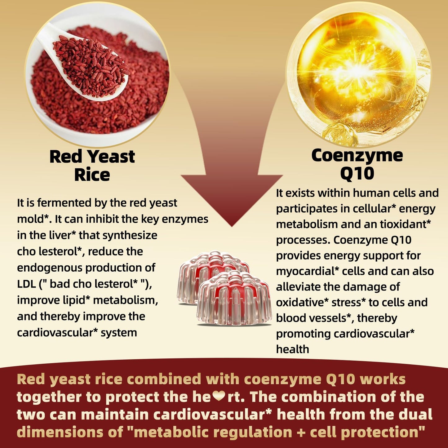 OALSE Red Yeast Rice with CoQ10 Gummies, 60 Count