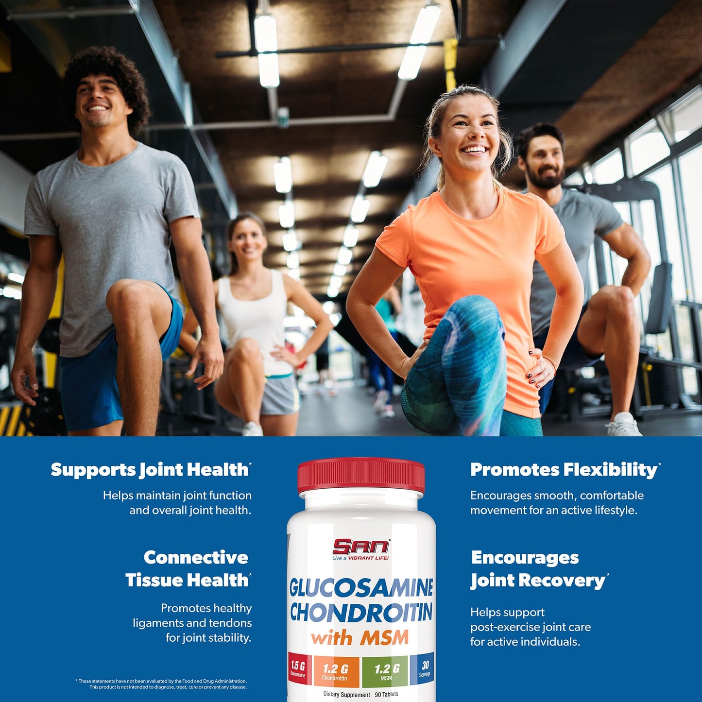 SAN Glucosamine Chondroitin with MSM Complex 1 Capsule