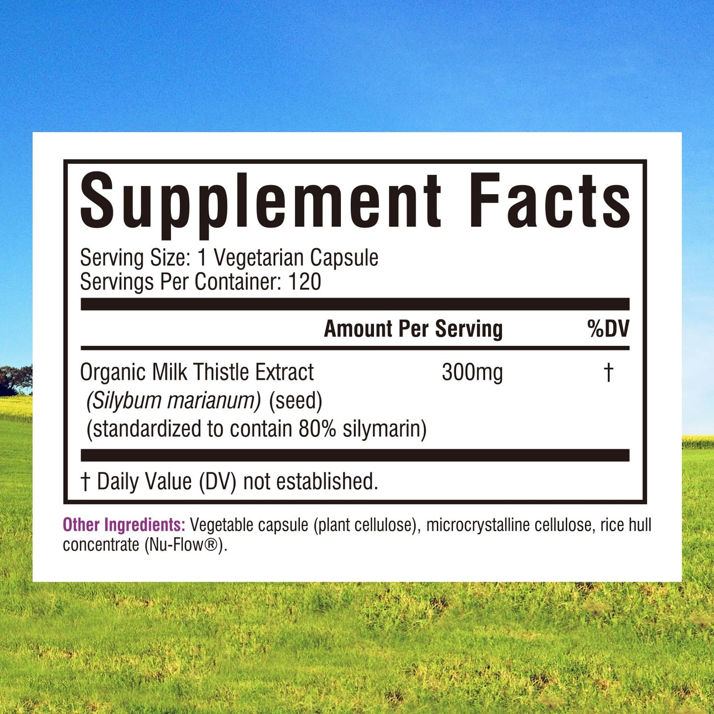Innate Vitality Organic Milk Thistle Supplement Capsule, 120 Capsules