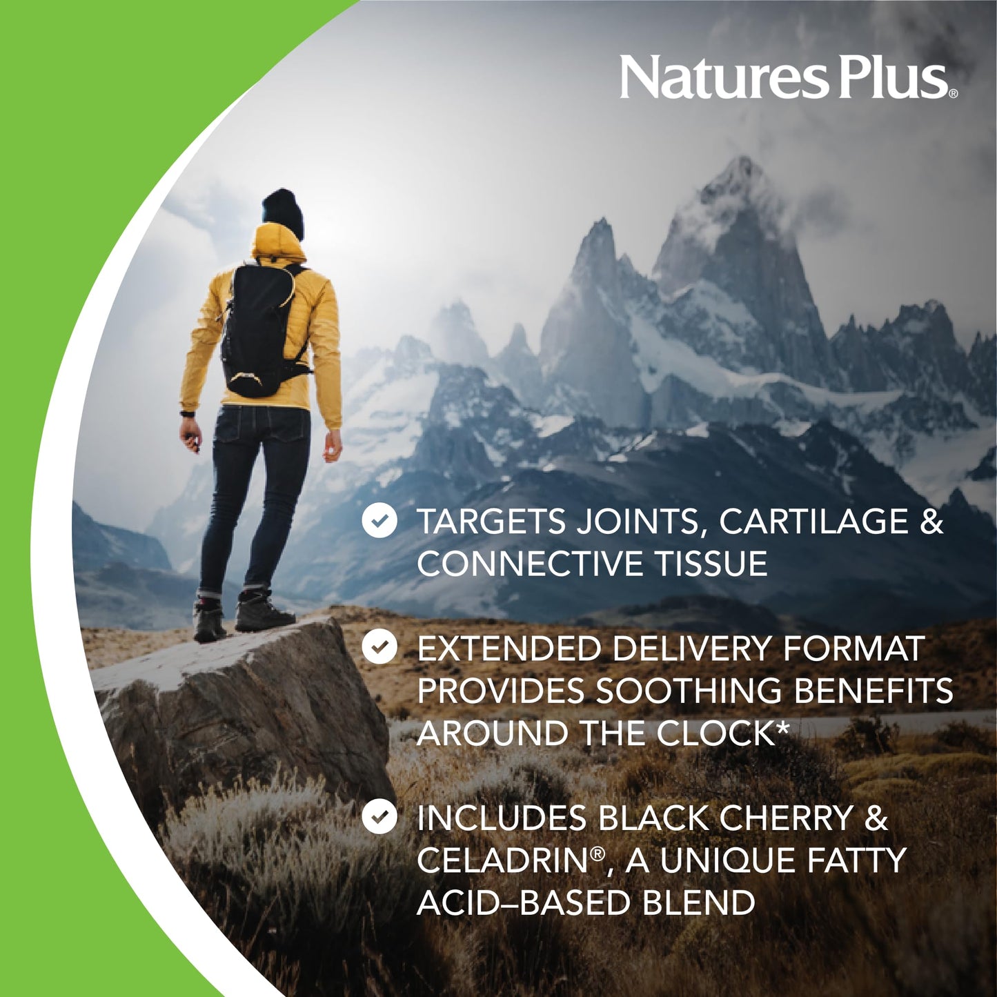 NaturesPlus Ultra Rx-Joint Triple Strength Tablets 240