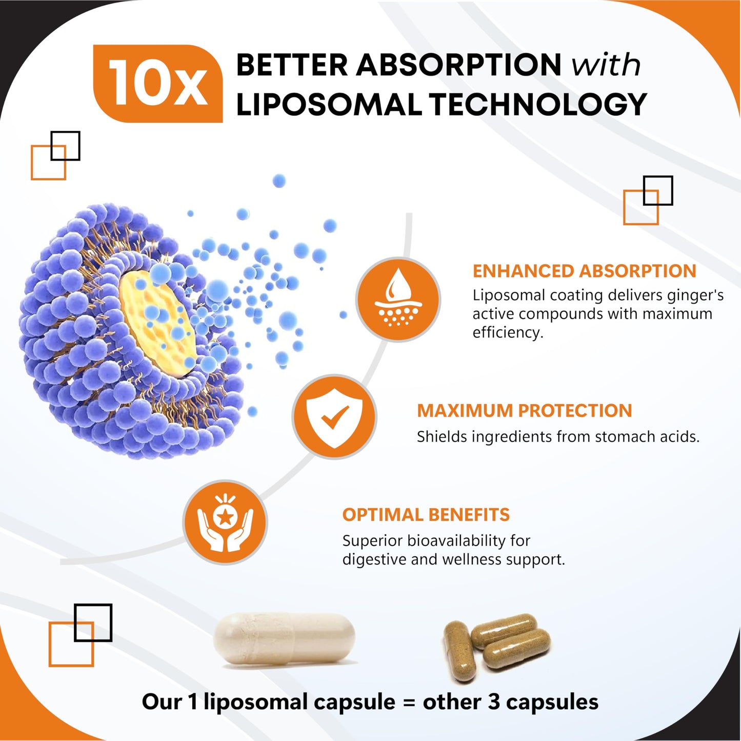 GUDOMET Liposomal Ginger with Cinnamon, Peppermint, Turmeric & Black Pepper Capsule, 150 Count