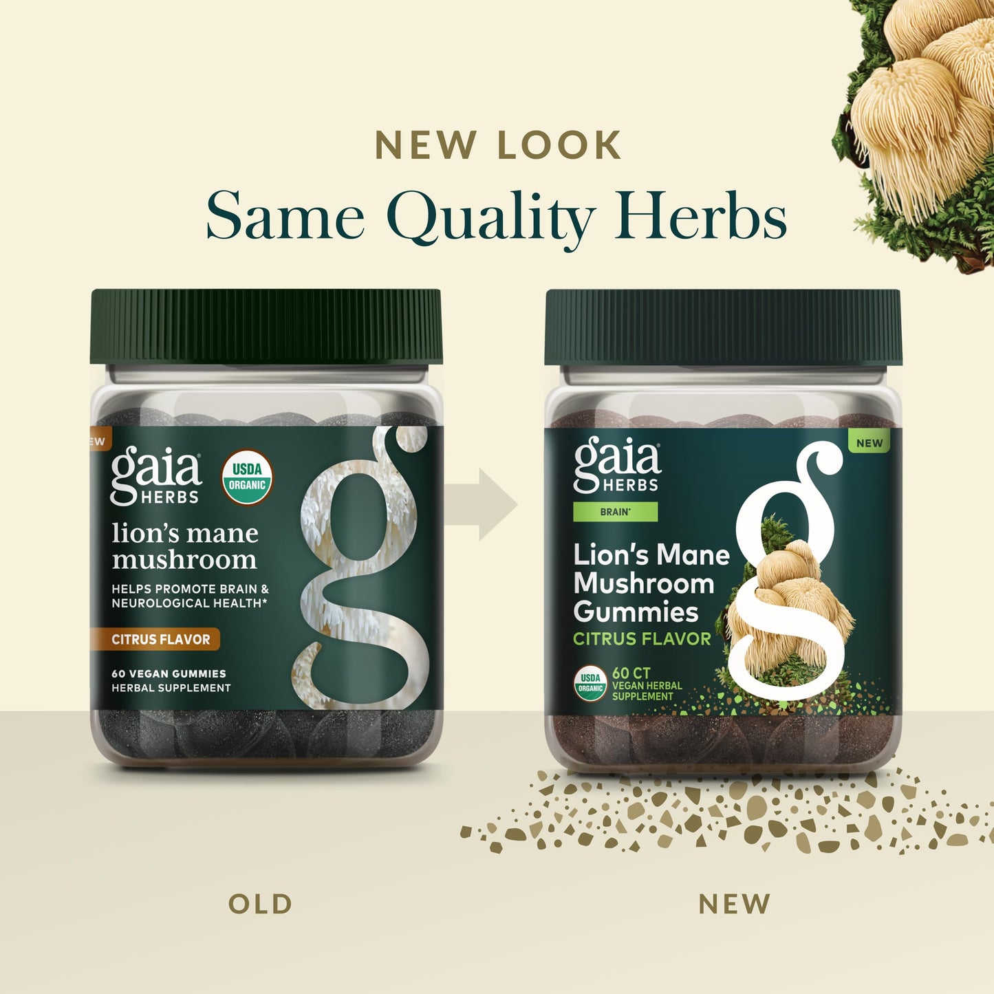 Gaia Herbs Lion's Mane Mushroom Gummies Brain Support, 60 Gummies