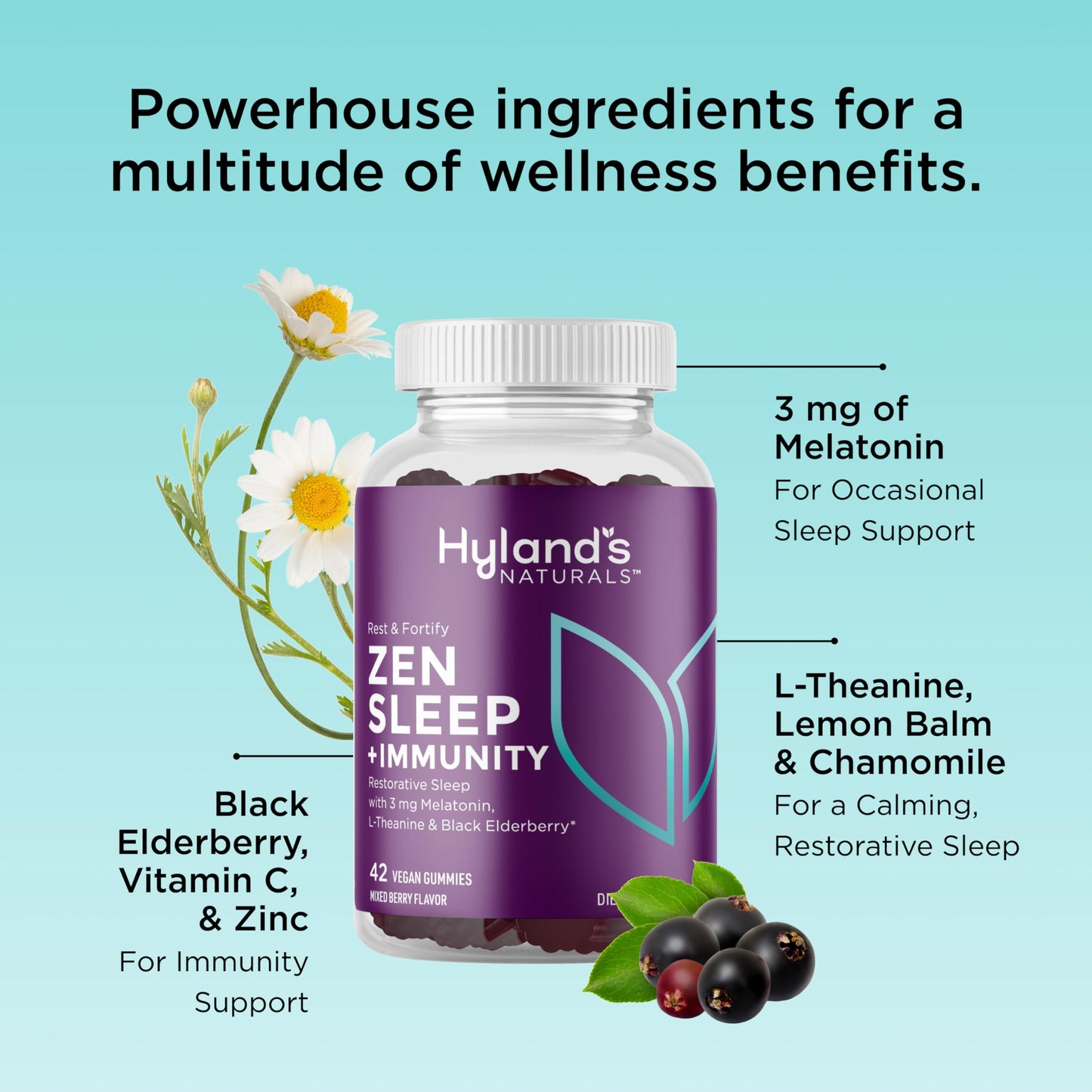Hyland's Rest and Fortify Zen Sleep Aid and Immune Support Gummies, 42 Count