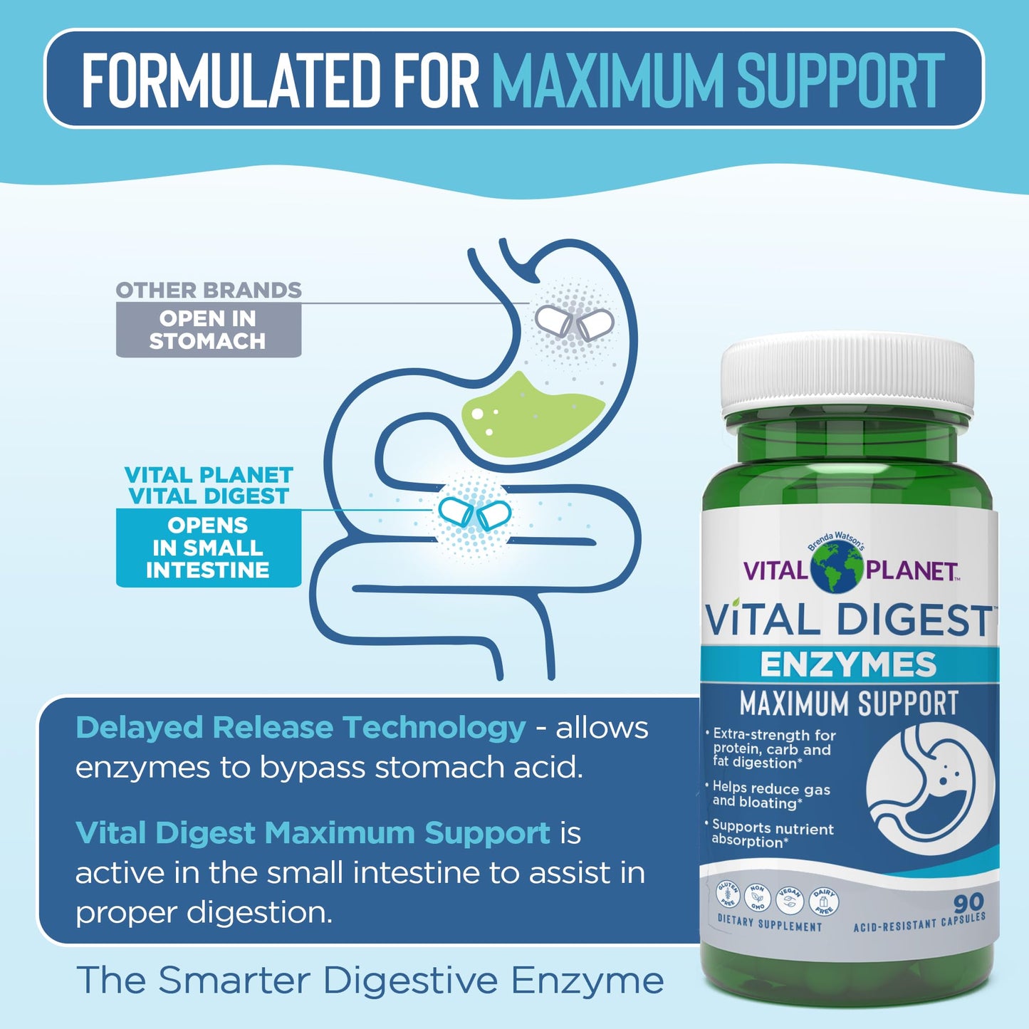 Vital Planet Vital Digest Natural Digestive Enzymes 90 Capsules