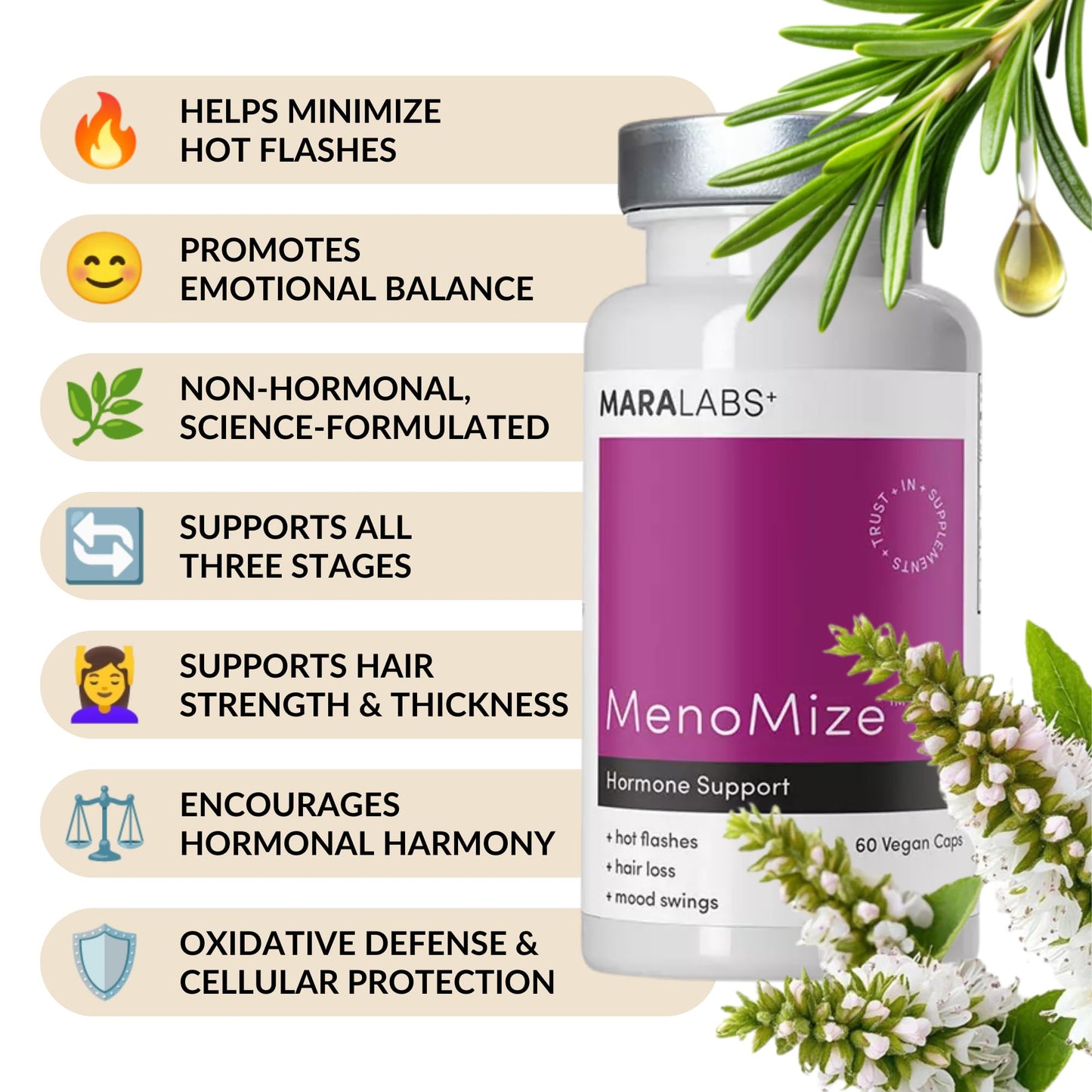 BrocElite MenoMize Menopause Support Formula with Resveratrol & Black Cohosh 60 Capsules
