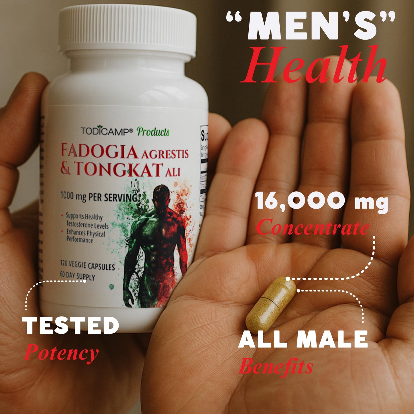 TODICAMP Fadogia Agrestis 20:1 with Tongkat Ali 1000mg Complex Longjack Tongkat Ali Extract with Fadogia Agrestis 600mg Capsules, 120 Count