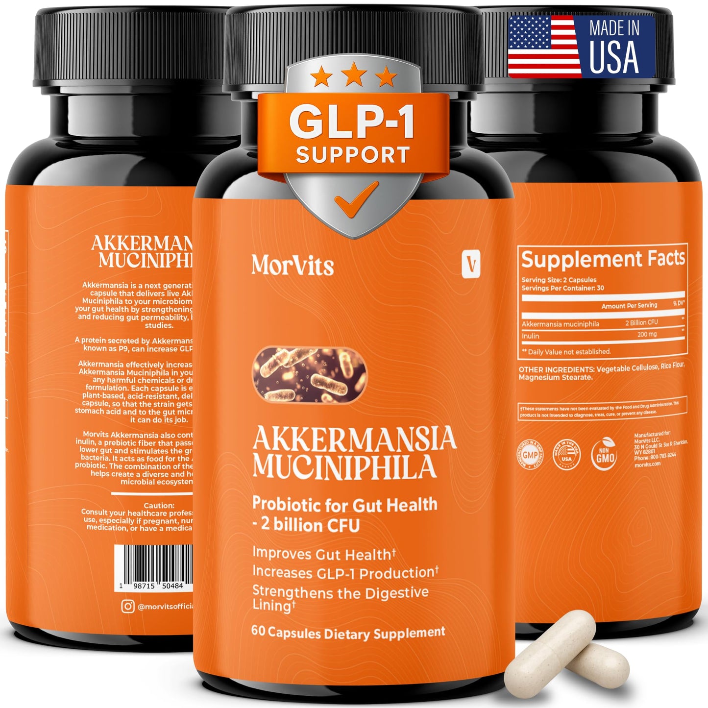 Morvits Akkermansia Probiotic for Cravings & Gut Health GLP-1 Support with Akkermansia Muciniphila – 2 Billion CFU, Inulin Prebiotic Fiber, 60 Capsules