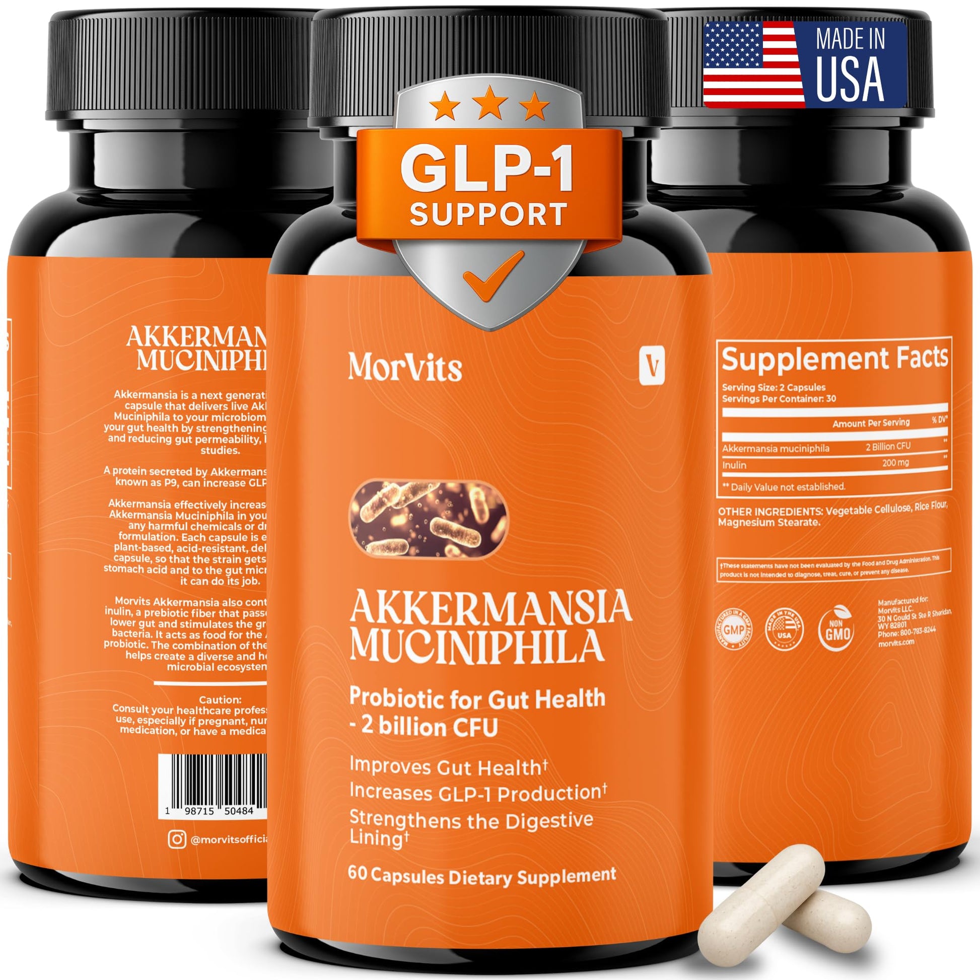 Morvits Akkermansia Probiotic for Cravings & Gut Health GLP-1 Support with Akkermansia Muciniphila – 2 Billion CFU, Inulin Prebiotic Fiber, 60 Capsules