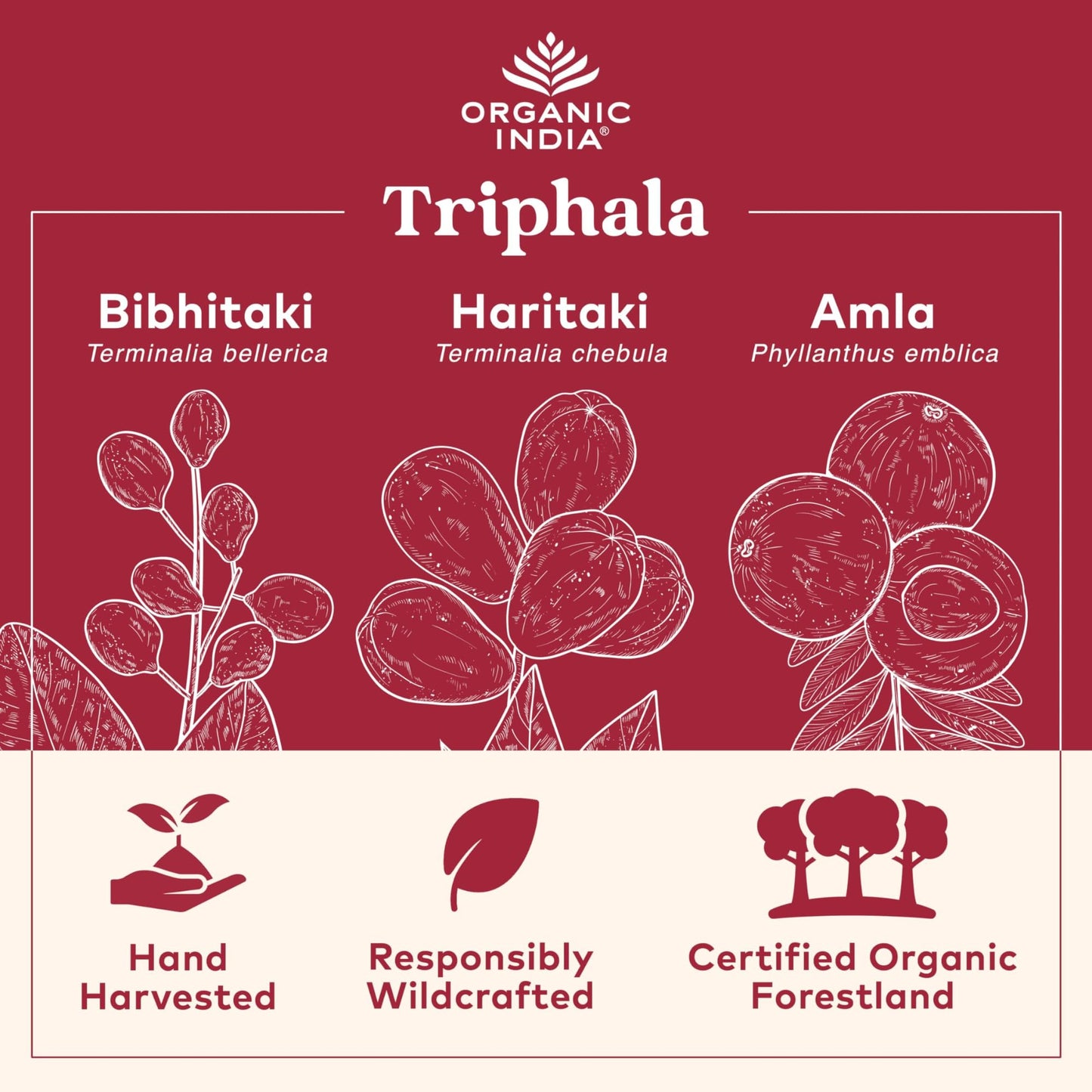 ORGANIC INDIA Triphala Herbal Supplement 90 Capsules