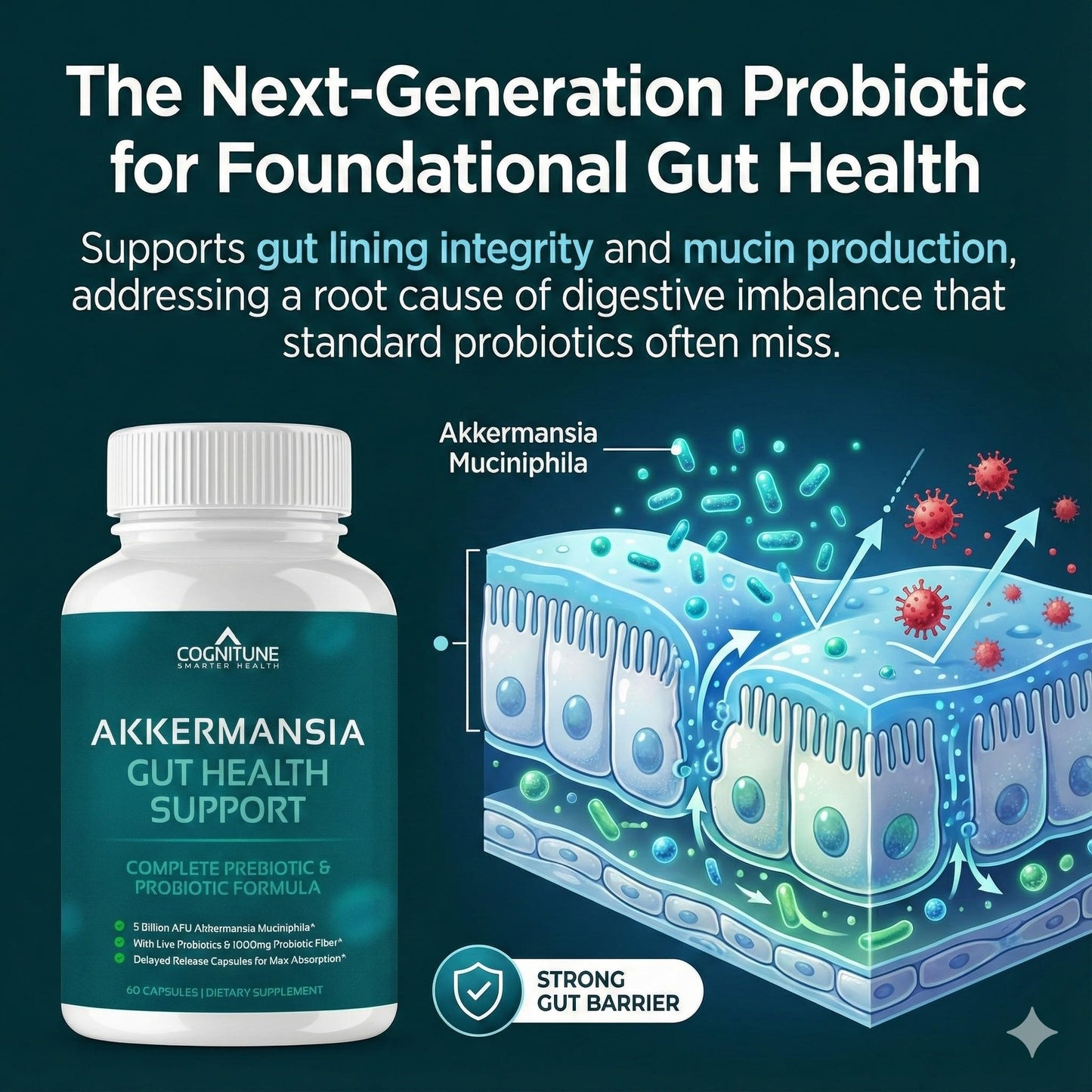 CogniTune Akkermansia Probiotic 5 Billion AFU & Prebiotic Fiber Capsules, 60 Count