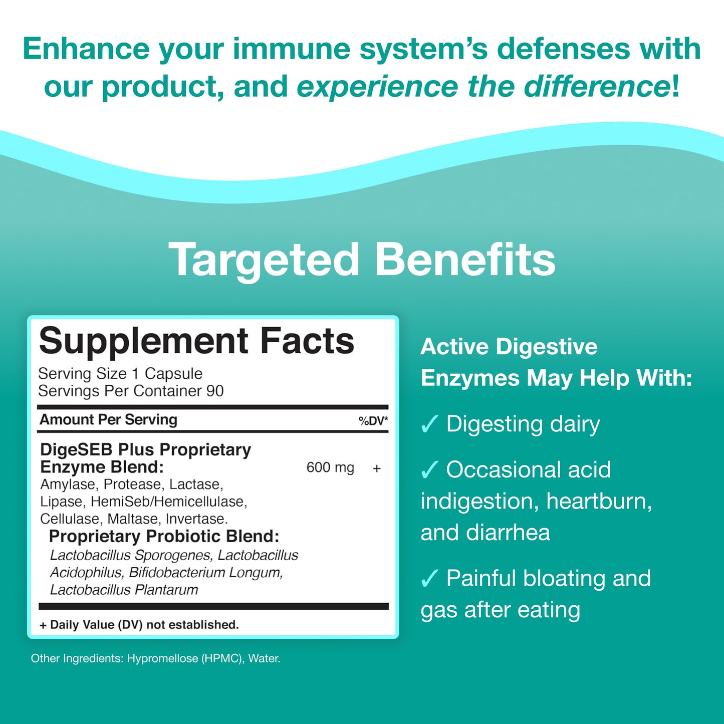 GHT Global Health Trax Active Digestive Enzymes Supplement Capsules, 90 Count