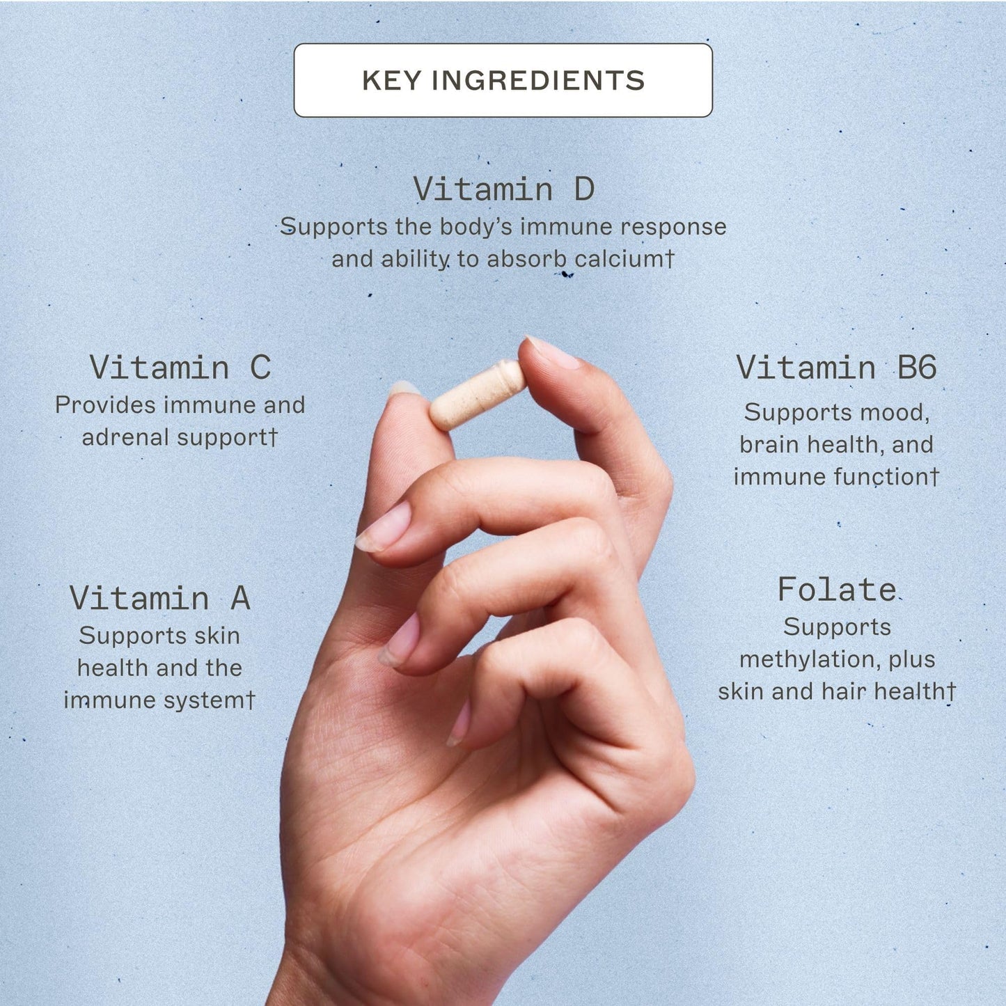 Amy Myers MD The Myers Way Multivitamin Capsules 180