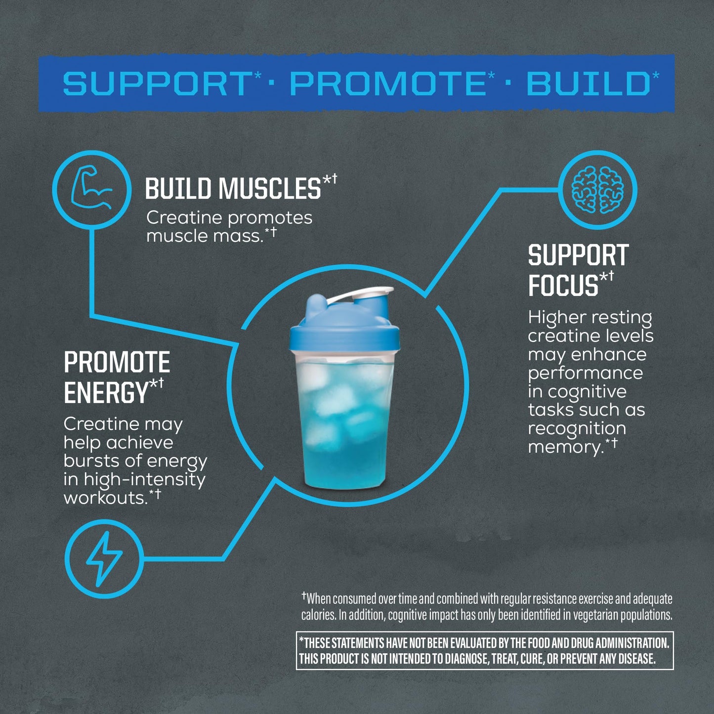 Sunwarrior Creatine Monohydrate Powder Micronized PreWorkout Recovery Supplement 11.7
