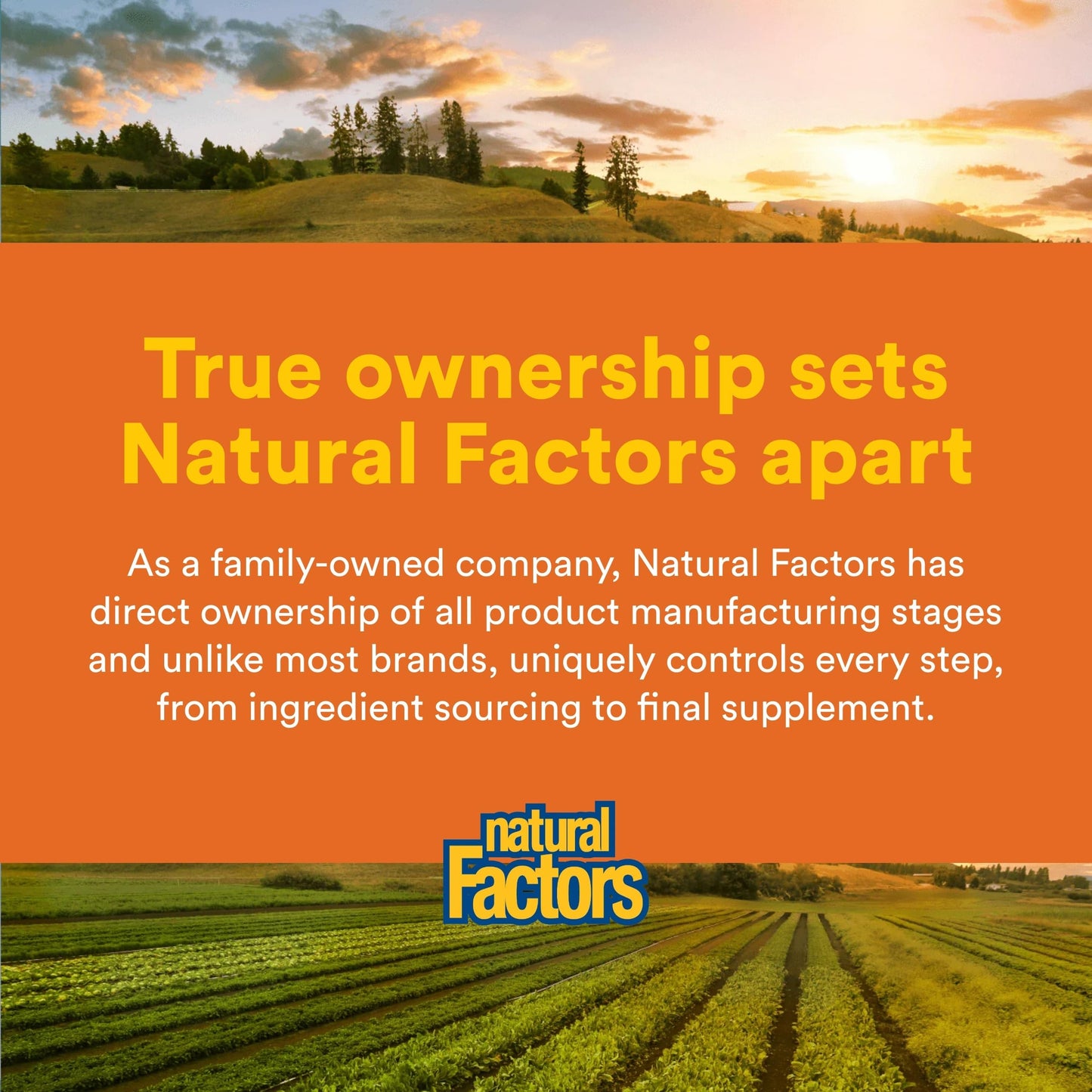 Natural Factors SAMe 200 mg Tablet, 60 Tablets