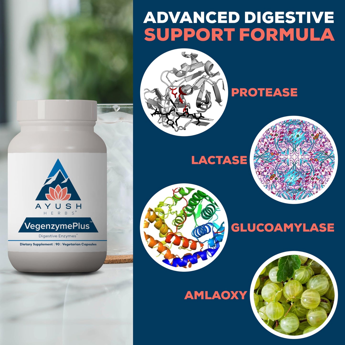 Ayush Herbs VegenzymePlus Digestive Enzymes for Women & Men with Bromelain, Lipase, Lactase, Protease, 100% Vegetarian Gut Health Supplement, Capsule, 90 Count
