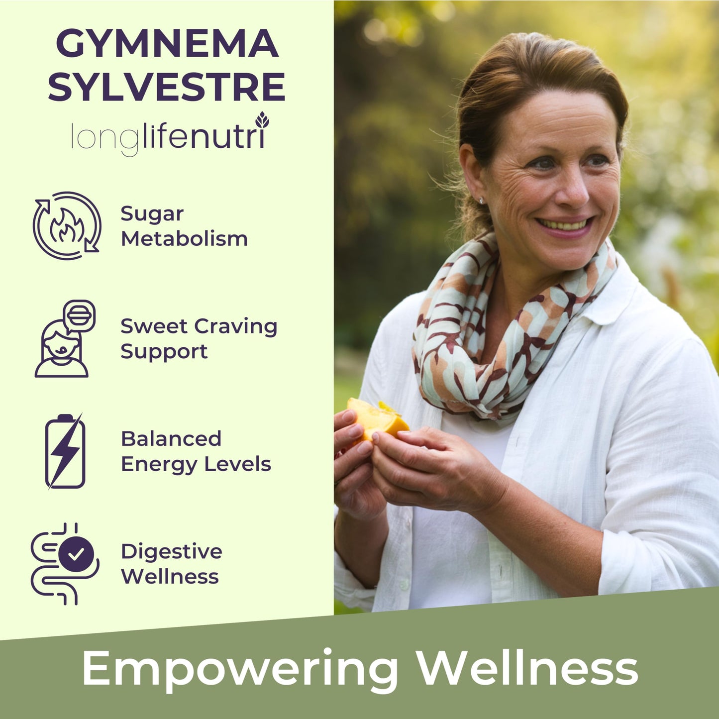LongLifeNutri Gymnema Sylvestre 1000mg Organic 20:1 Leaf Extract, 240 Capsules