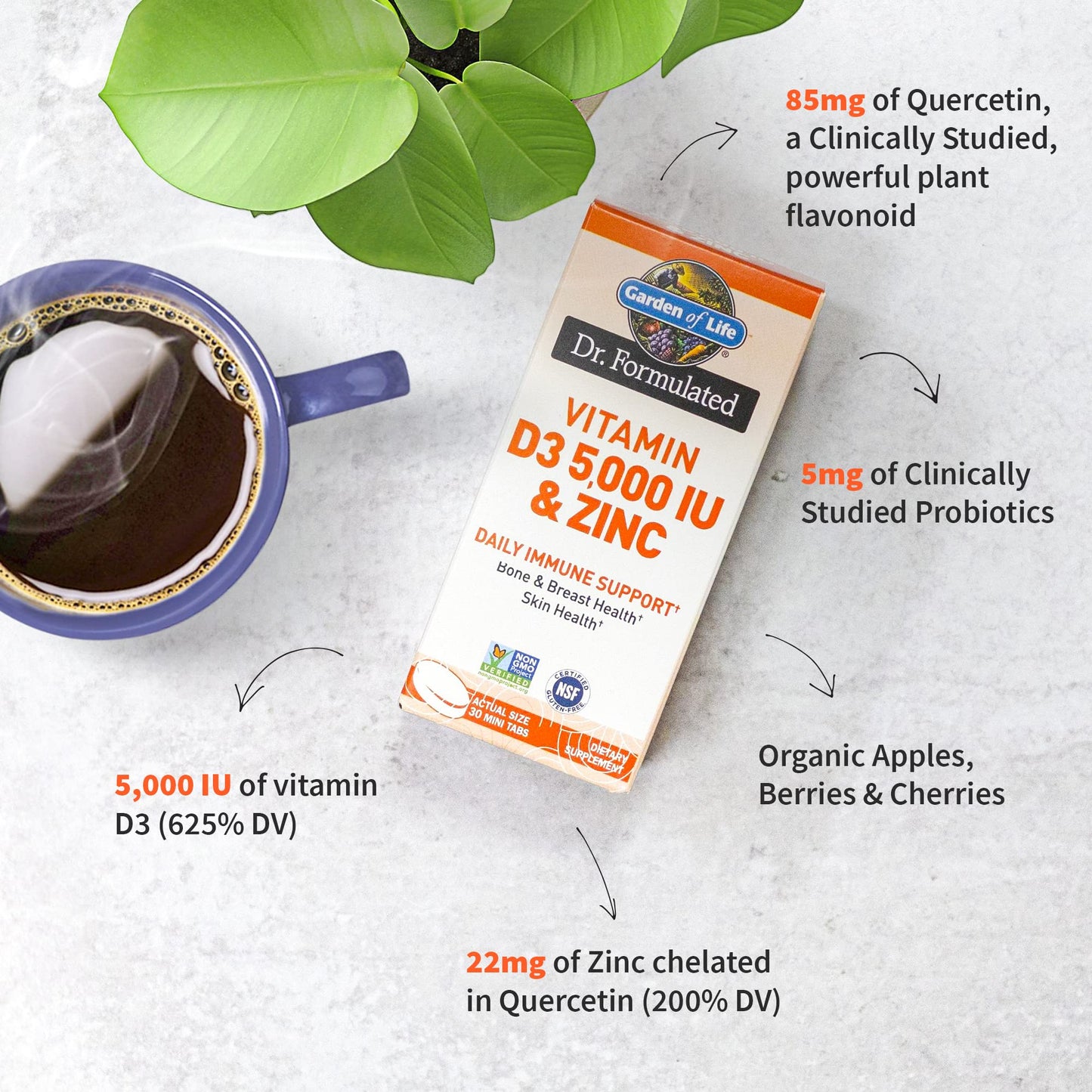 Garden of Life Dr. Formulated Vitamin D3 & Zinc Quercetin Once Daily Supplement Tablets, 30 Count