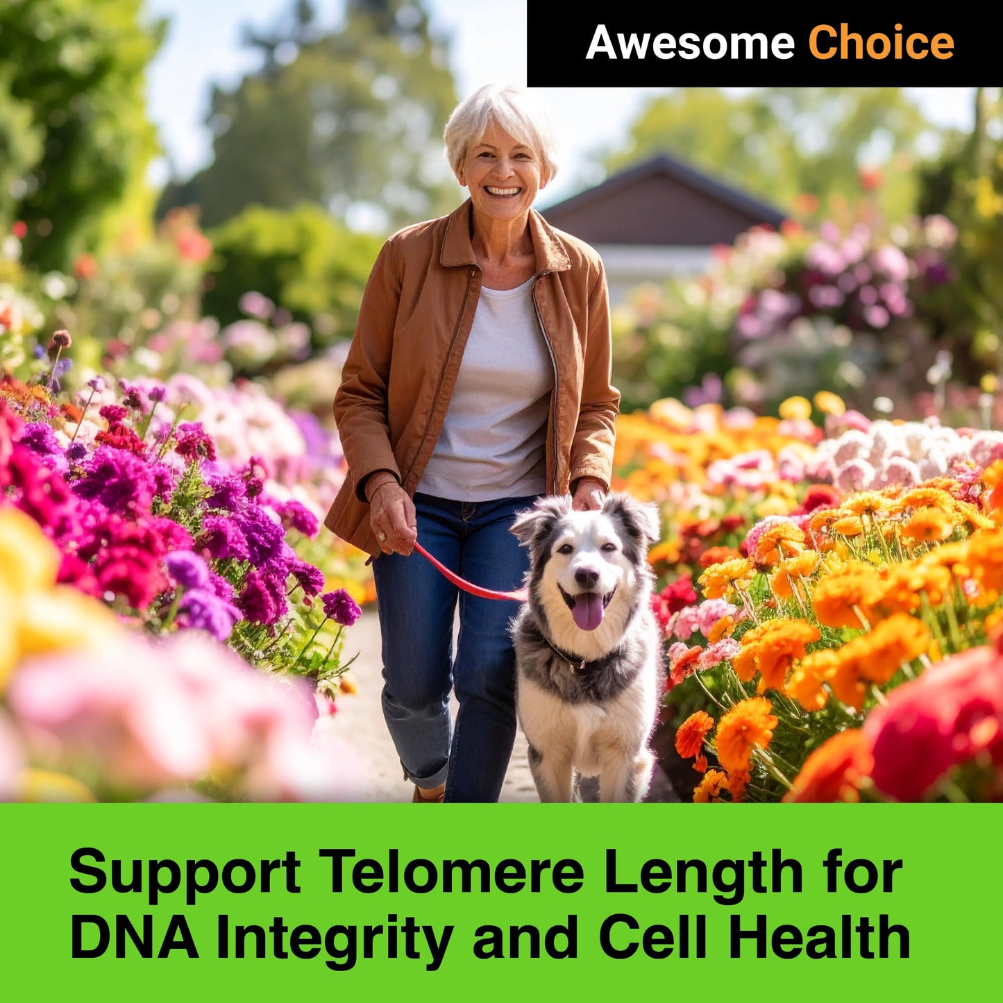 GREEN VALLEY NATURALS Genesis Telomere Length Supplement Capsule 60 Count