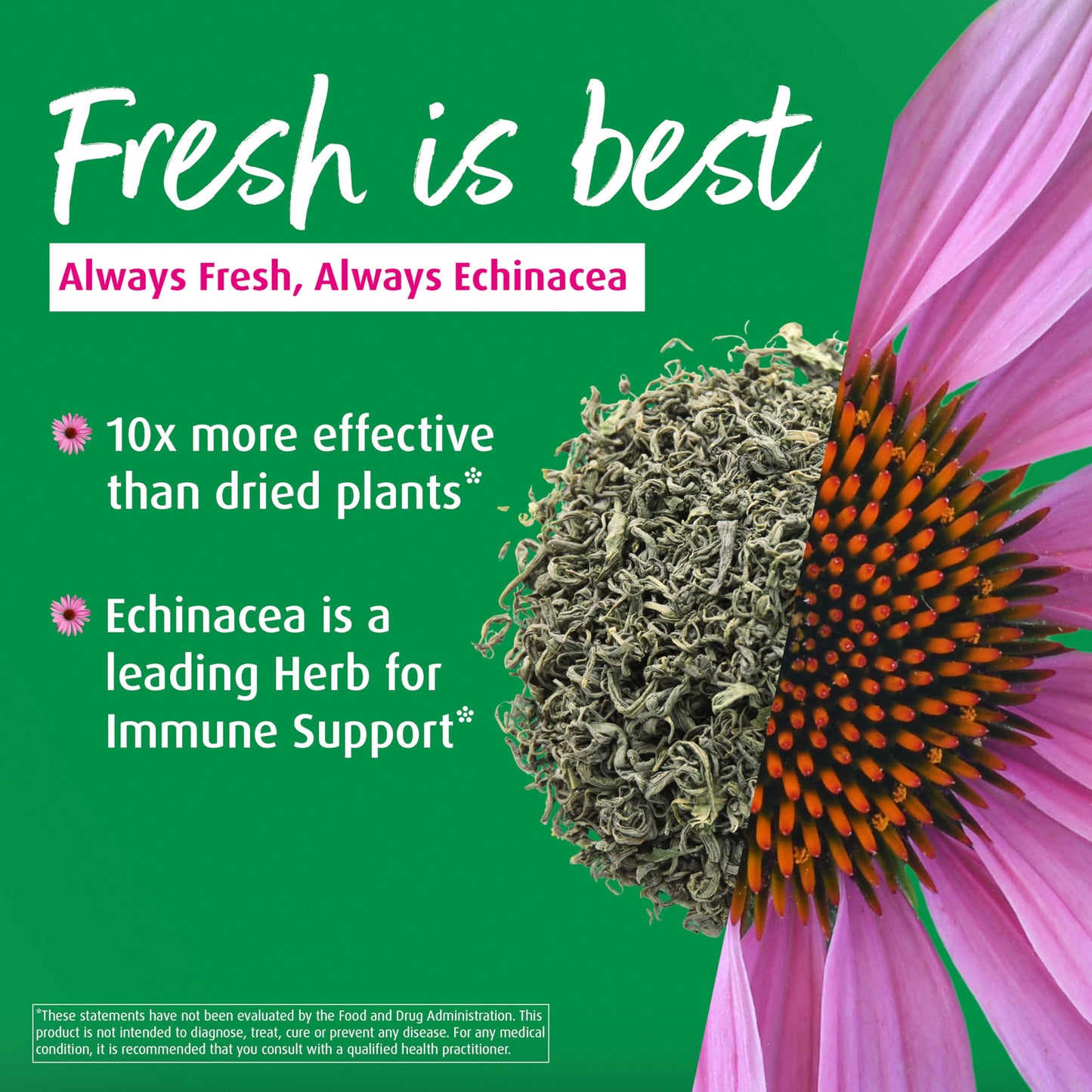 A.Vogel Echinaforce Tablets 120 Tablets