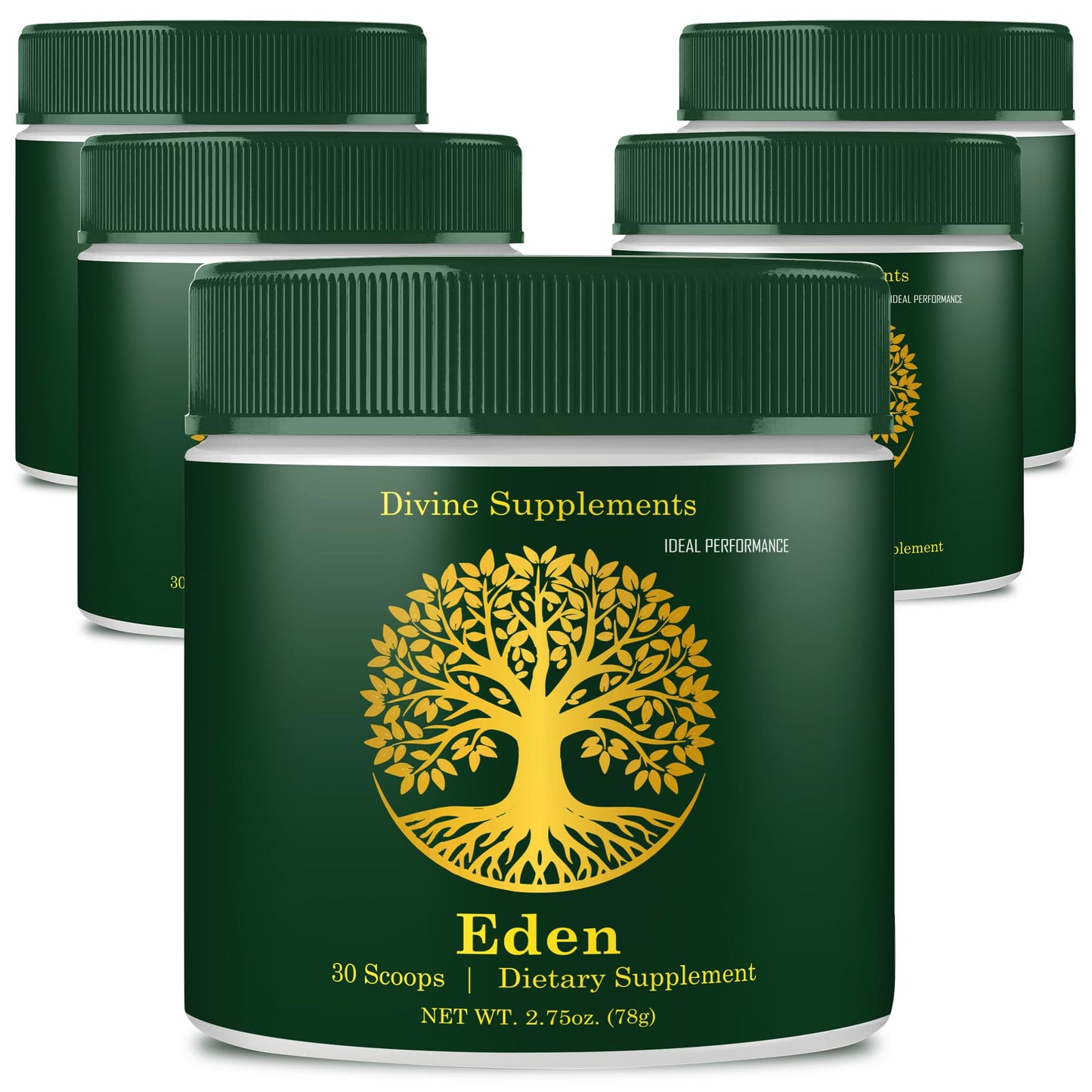 IDEAL PERFORMANCE Eden Energy Supplement Powder 10