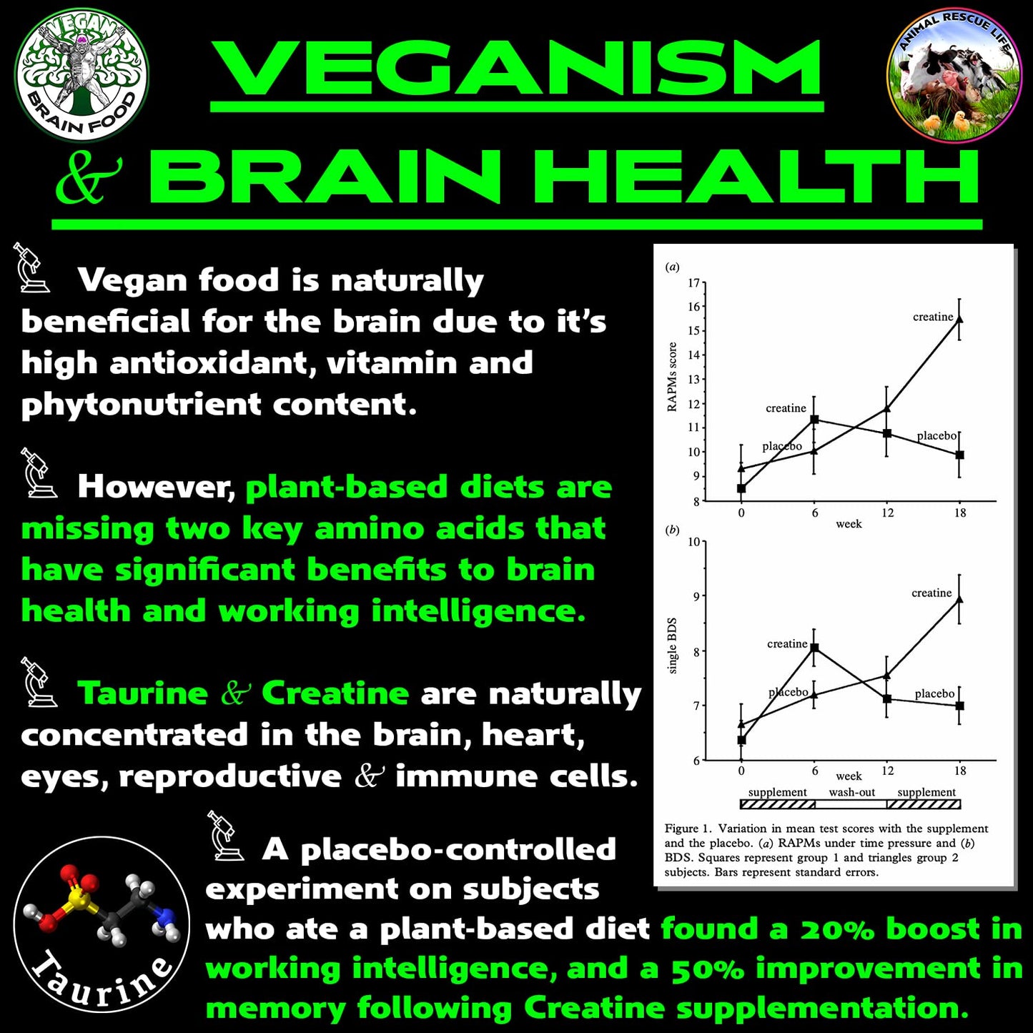 Vegan Brain Food Vegan Brain & Body Boost Powder 17.7