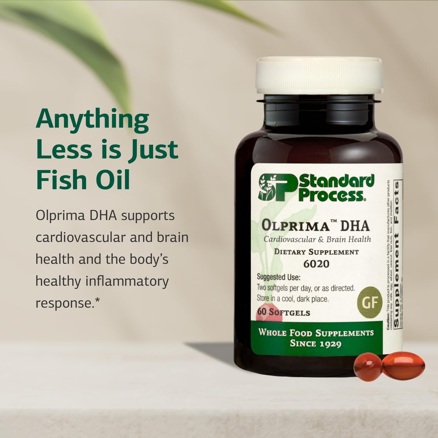Standard Process Inc. Olprima DHA - Omega-3 Supplement for Heart & Brain Health Softgel 60