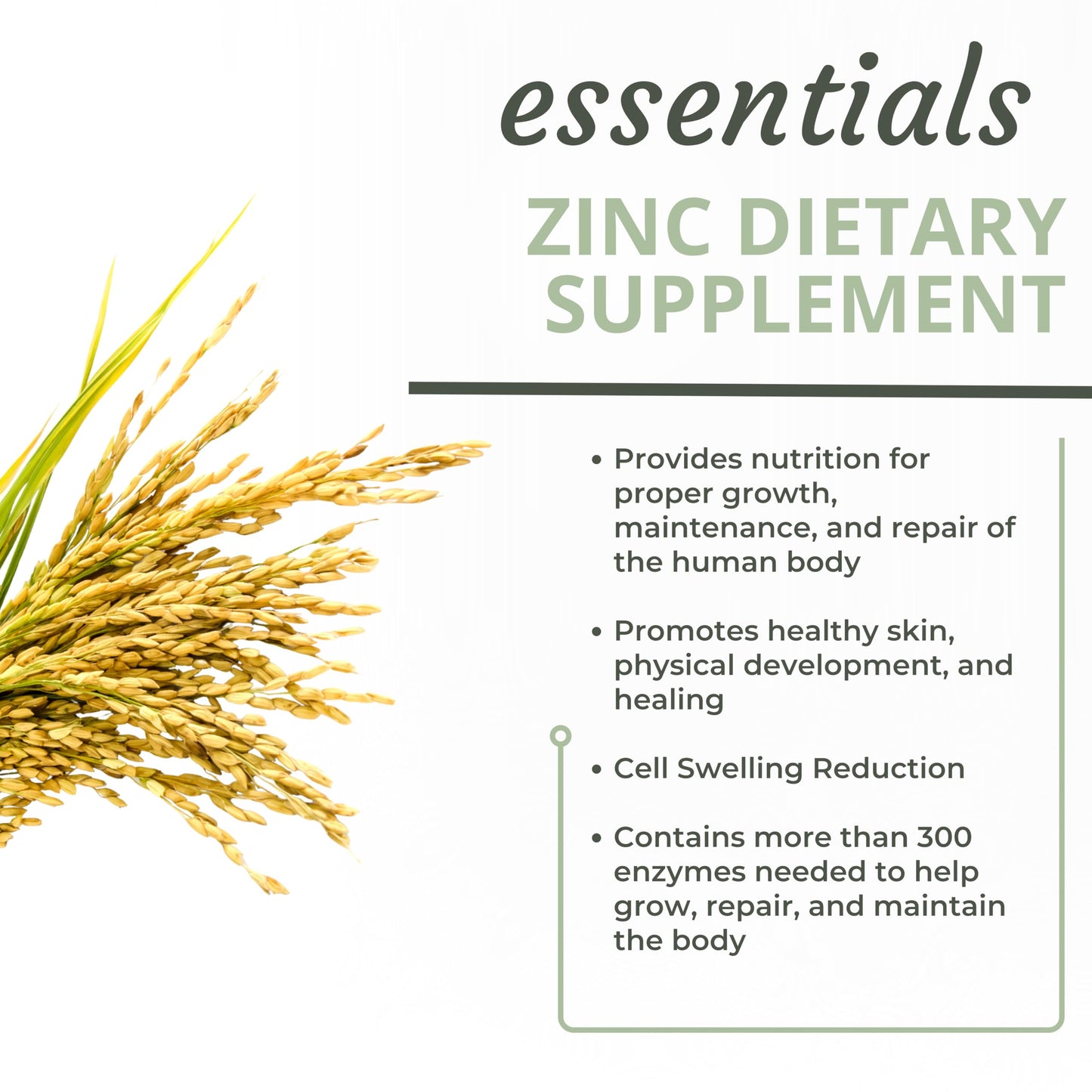 Optimal Health Systems Essential Zinc Capsules 90 Count