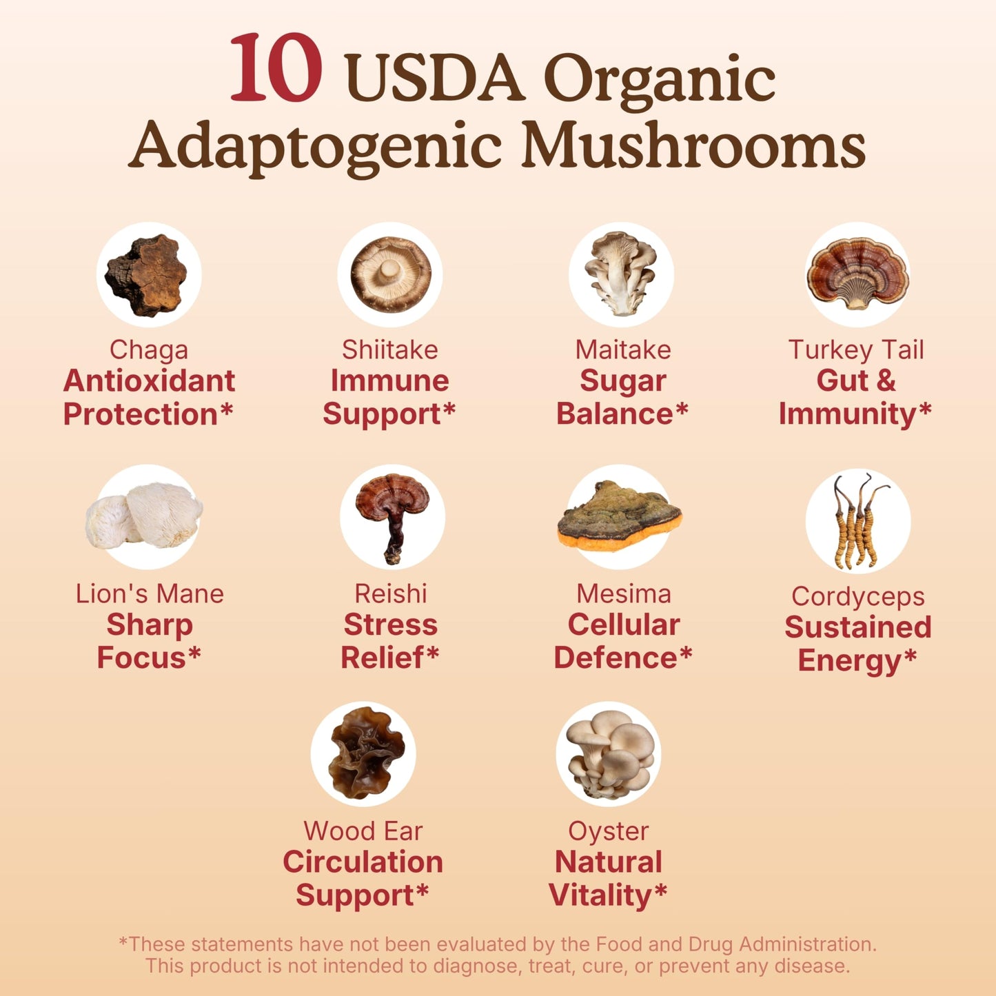 Nourishing Nutrients USDA Organic 10 Mushroom Supplement Powder, Focus and Immune Support, 4.24 oz