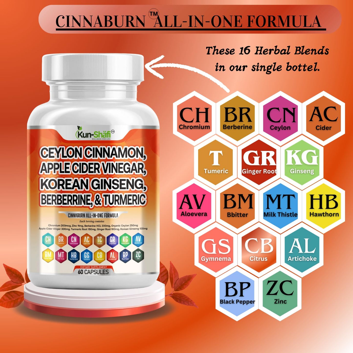 Kun Shafi Ceylon Cinnamon Complex with Berberine Apple Cider Vinegar Plus Bitter Melon Gymnema Ginseng Chromium & Turmeric Milk Thistle Capsules, 60 Count