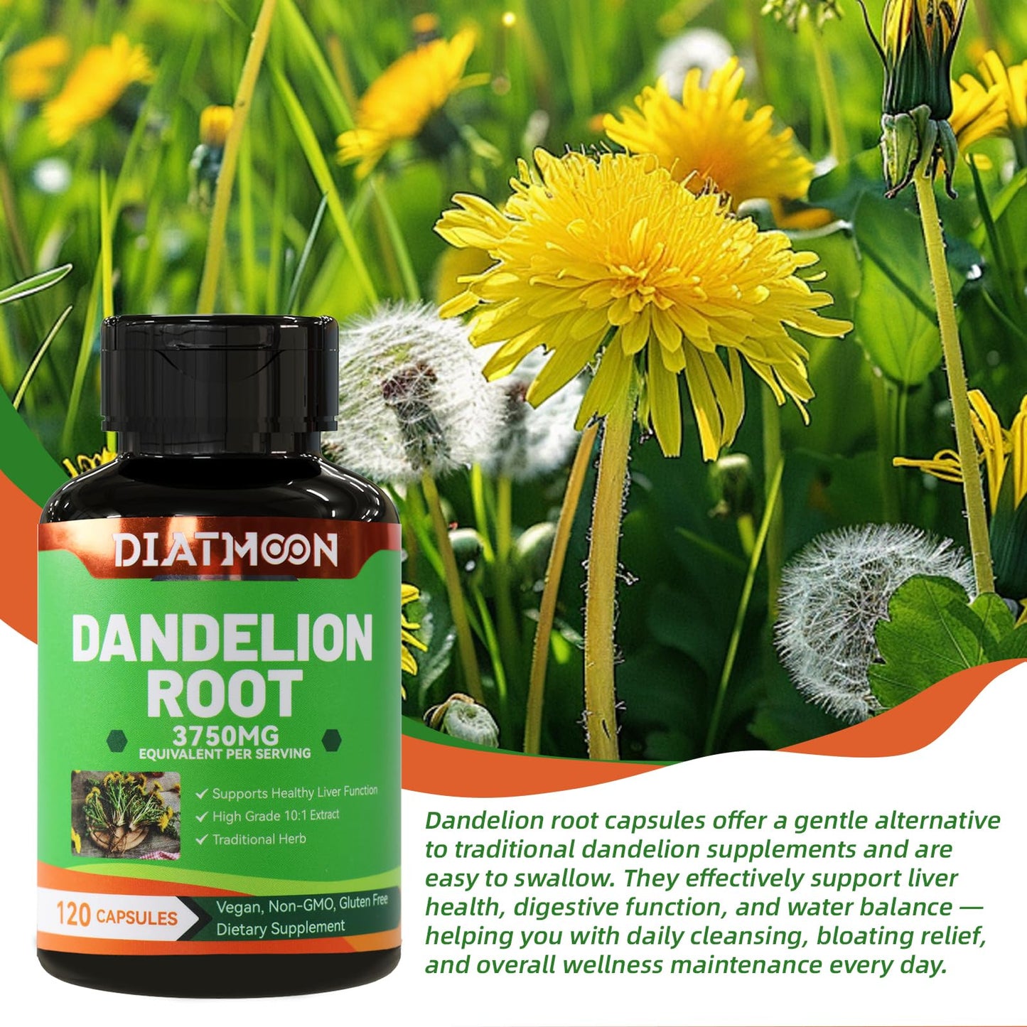 DIATMOON Dandelion Root Supplement 3750mg Capsule, 240 Capsules