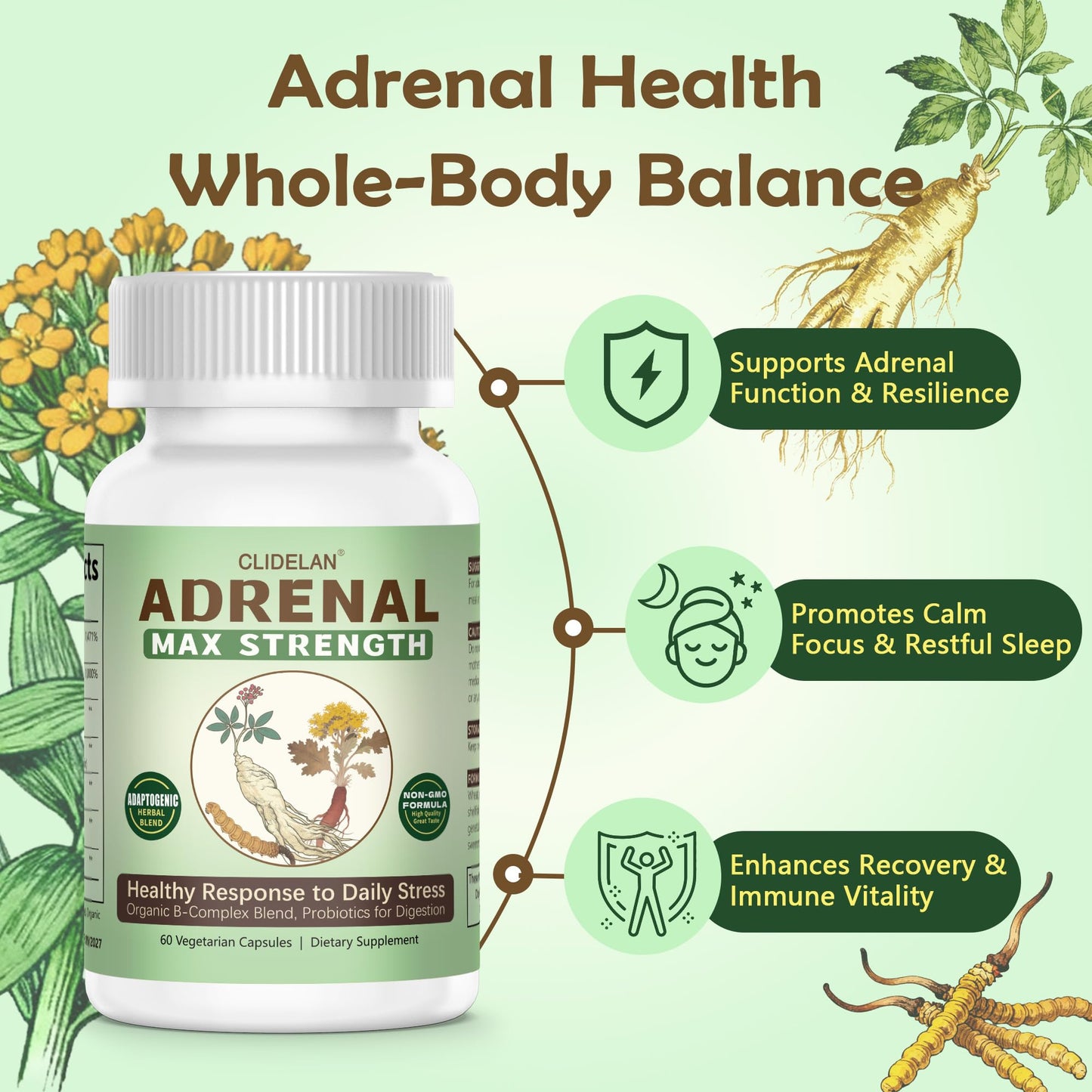 Clidelan Adrenal Support Supplements for Daily Balance Capsules, 60 Capsules