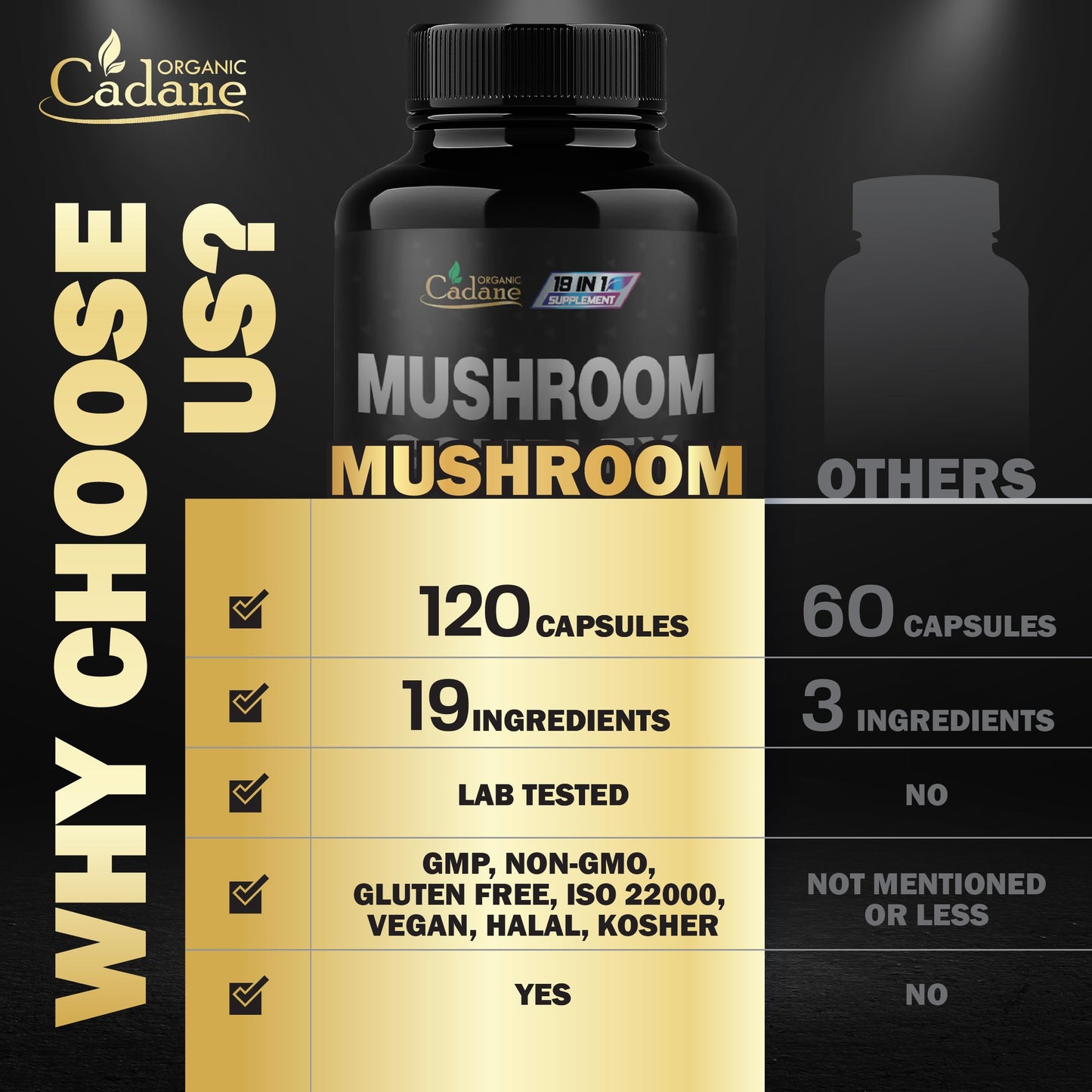 Organic Cadane Mushroom Complex Supplements 19in1 Concentrated with Lions Mane, Cordyceps Sinensis, Reishi, Turkey Tail Mushroom, Maitake, Chaga, Shiitake, Enoki, Agaricus, and More 120 Capsules