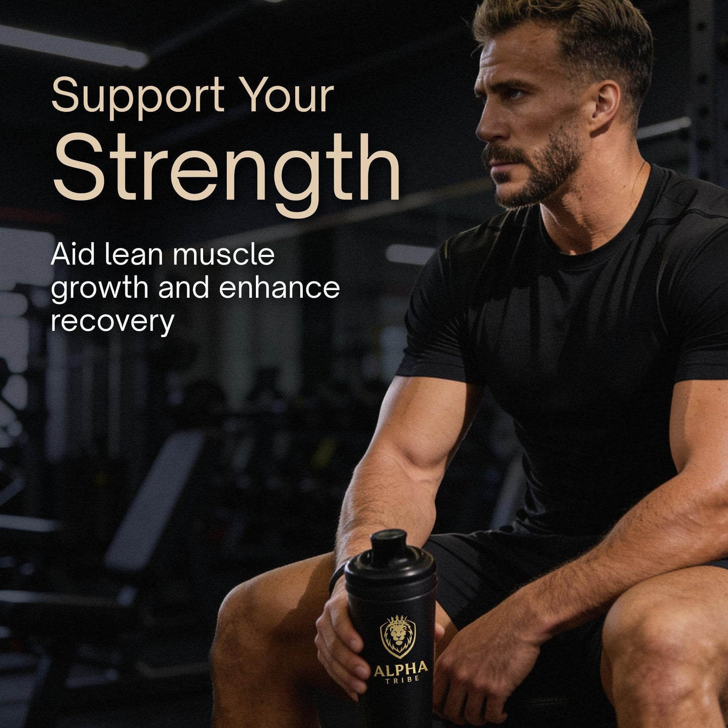Alpha Tribe Test Protocol Elite Natural Testosterone for Men Capsule 120 Count