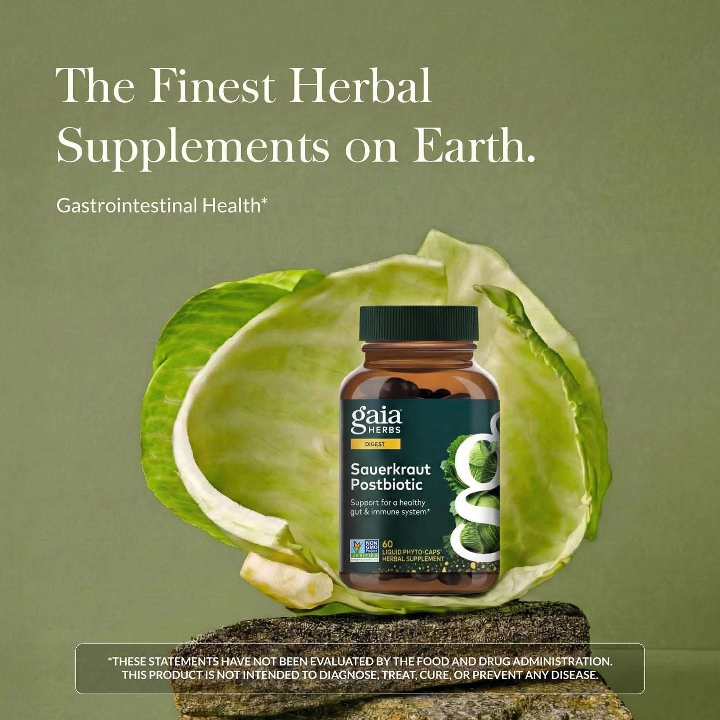 Gaia Herbs Sauerkraut Postbiotic Gut Health & Immune Support Supplement, 60 Capsules