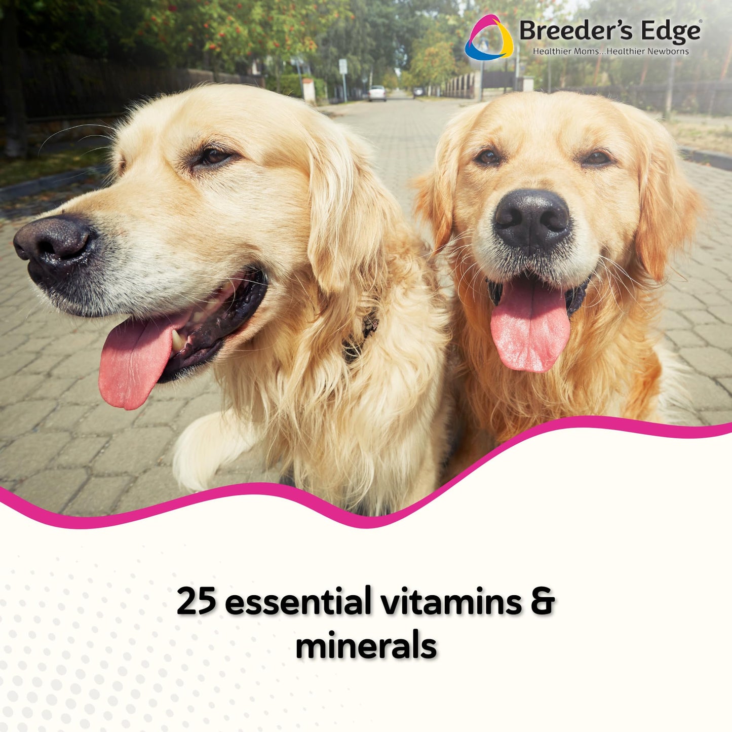 Revival Animal Health Breeder's Edge Breed to Wean Prenatal Vitamin Tablet 100 ct