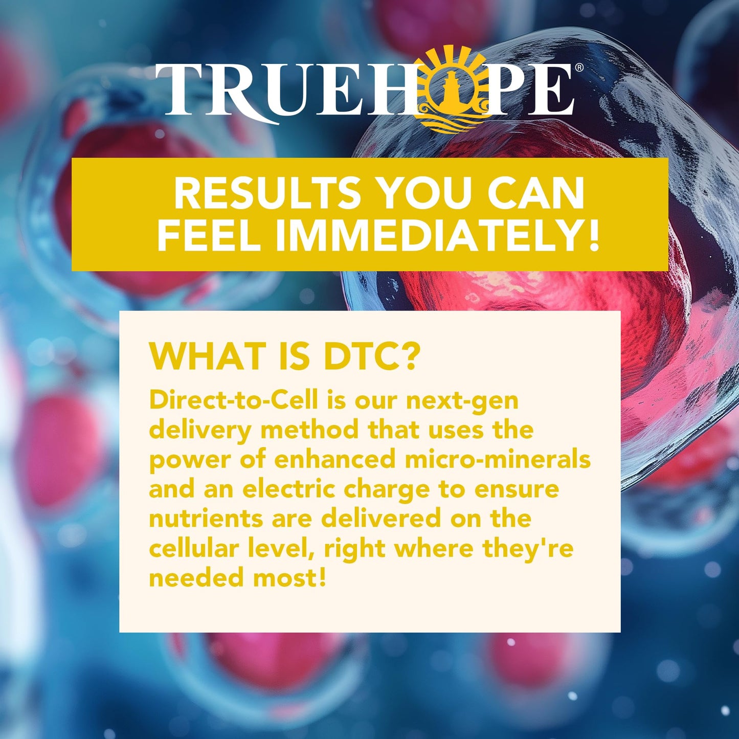 Truehope Multivitamin Nootropic Pouches with Inositol Once-Per-Day EMPowerplus Ultimate Sticks Powder 3.07