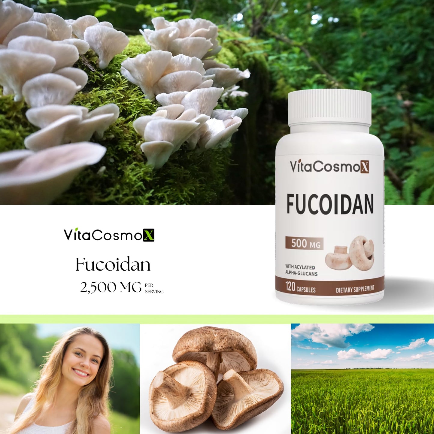 VitaCosmoX Brown Seaweed Extract 500mg Fucoidan, Capsules, 120 Count