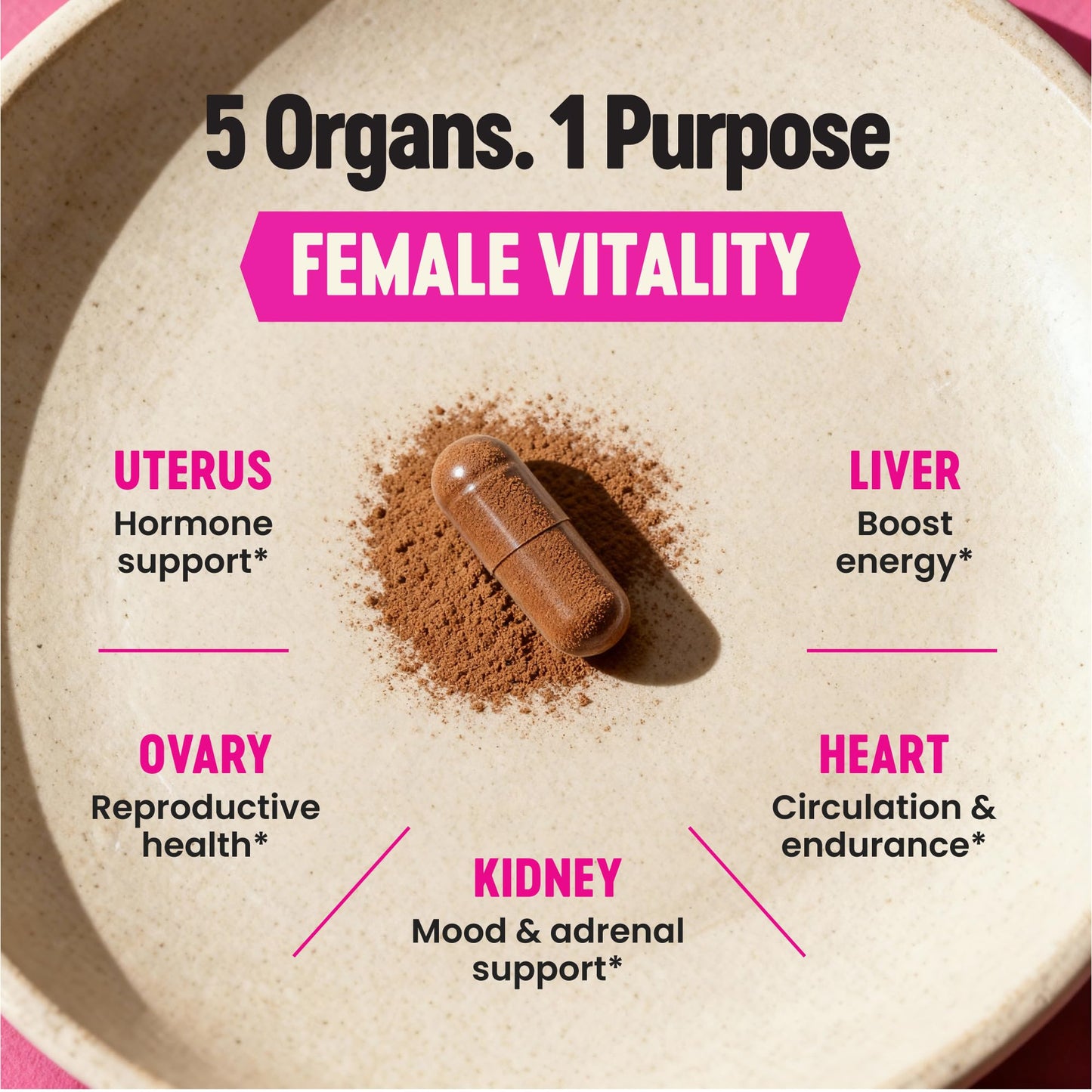 Primal Science Female Optimized Beef Organs - Grass Fed Beef Liver, Heart, Kidney, Uterus & Ovary Supplement for Women - Pasture Raised in New Zealand, Freeze Dried, No Fillers - 60 Capsules