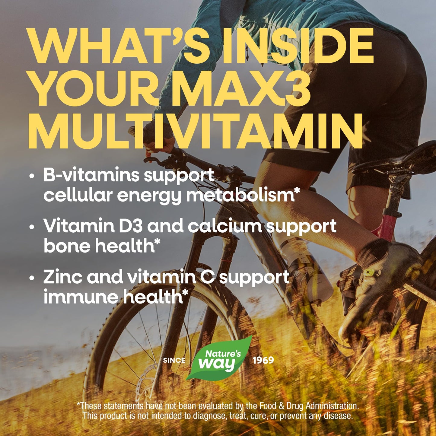 Nature's Way Alive! Max3 Potency Daily Multivitamin with Iron Tablets, 90 Count