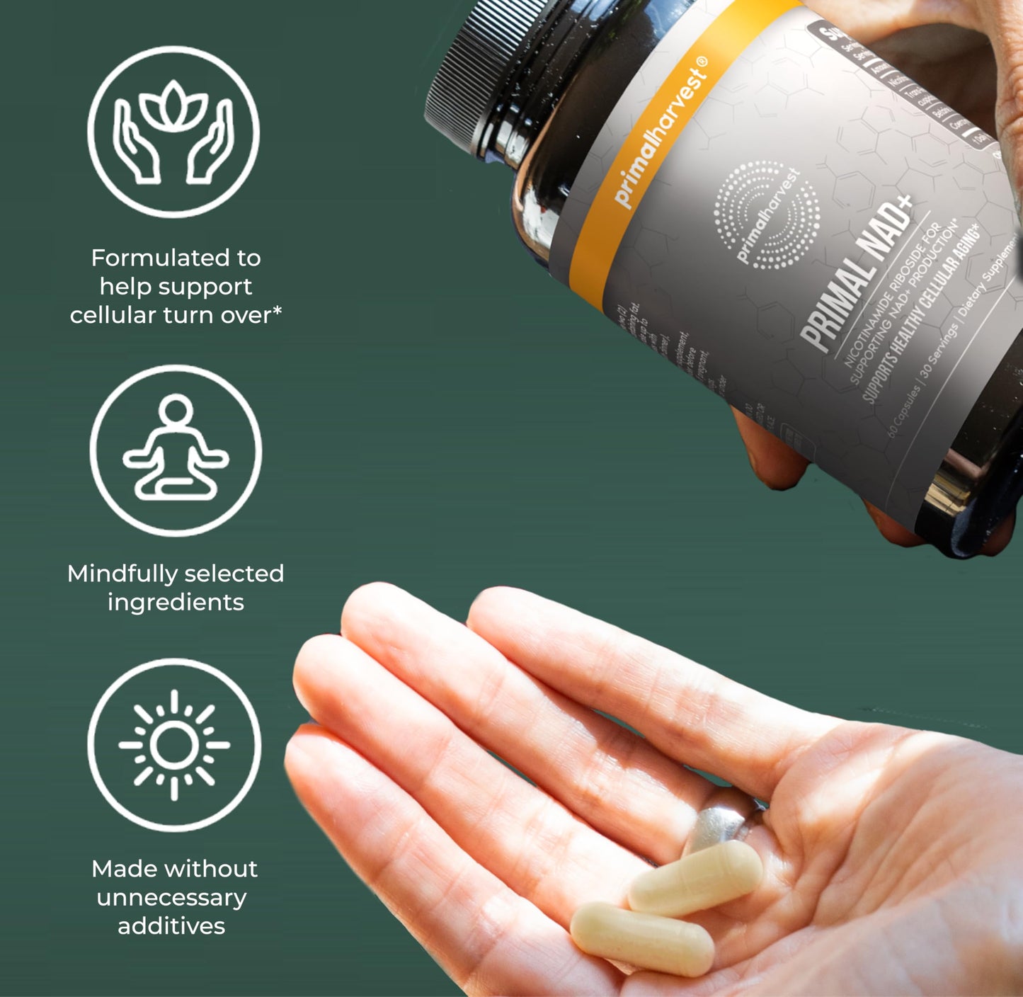 Primal Harvest NAD+ Supplement Capsule 60 Count