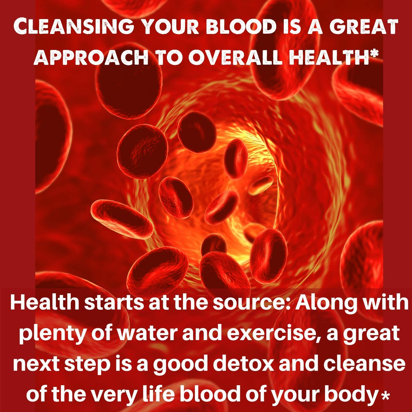 SpeedyVite Natural Blood Cleanser Capsules 1 Count