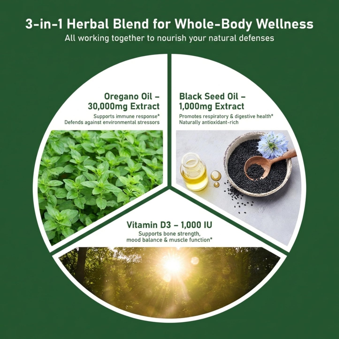 HiWell Absorfyx Oil of Oregano with Black Seed Oil Softgels 120 Count