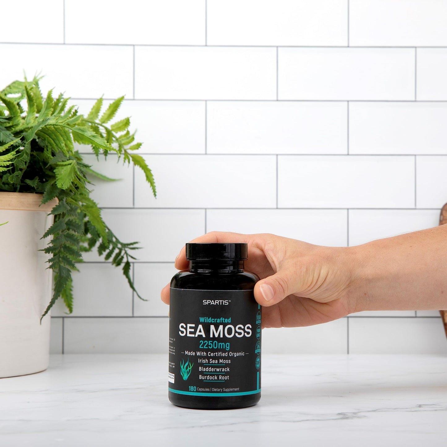 SPARTIS Certified Organic Sea Moss Capsules 2250mg Wildcrafted Irish Sea Moss with Burdock Root and Bladderwrack, 180 Capsules