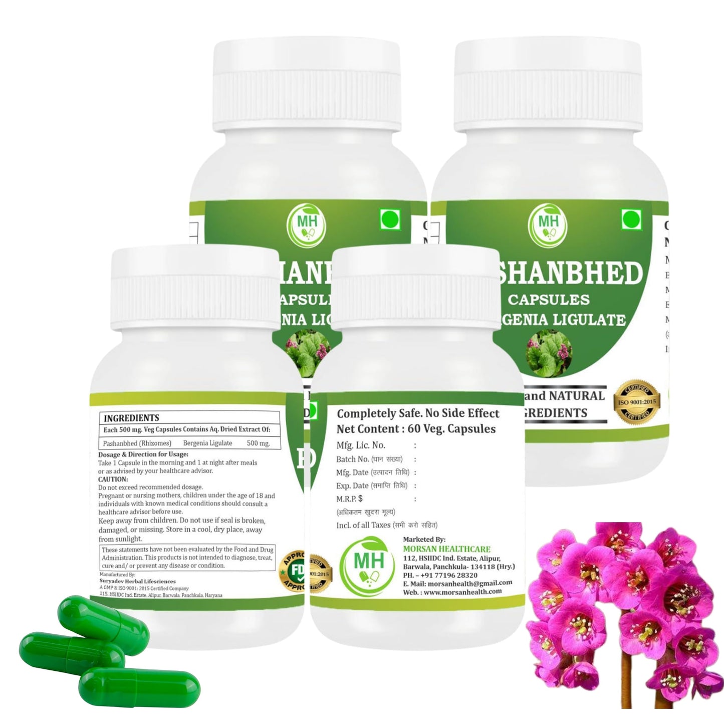 Morsan Healthcare Pashanabheda (Bergenia ligulata) Powder Capsules 240 Veg Capsules